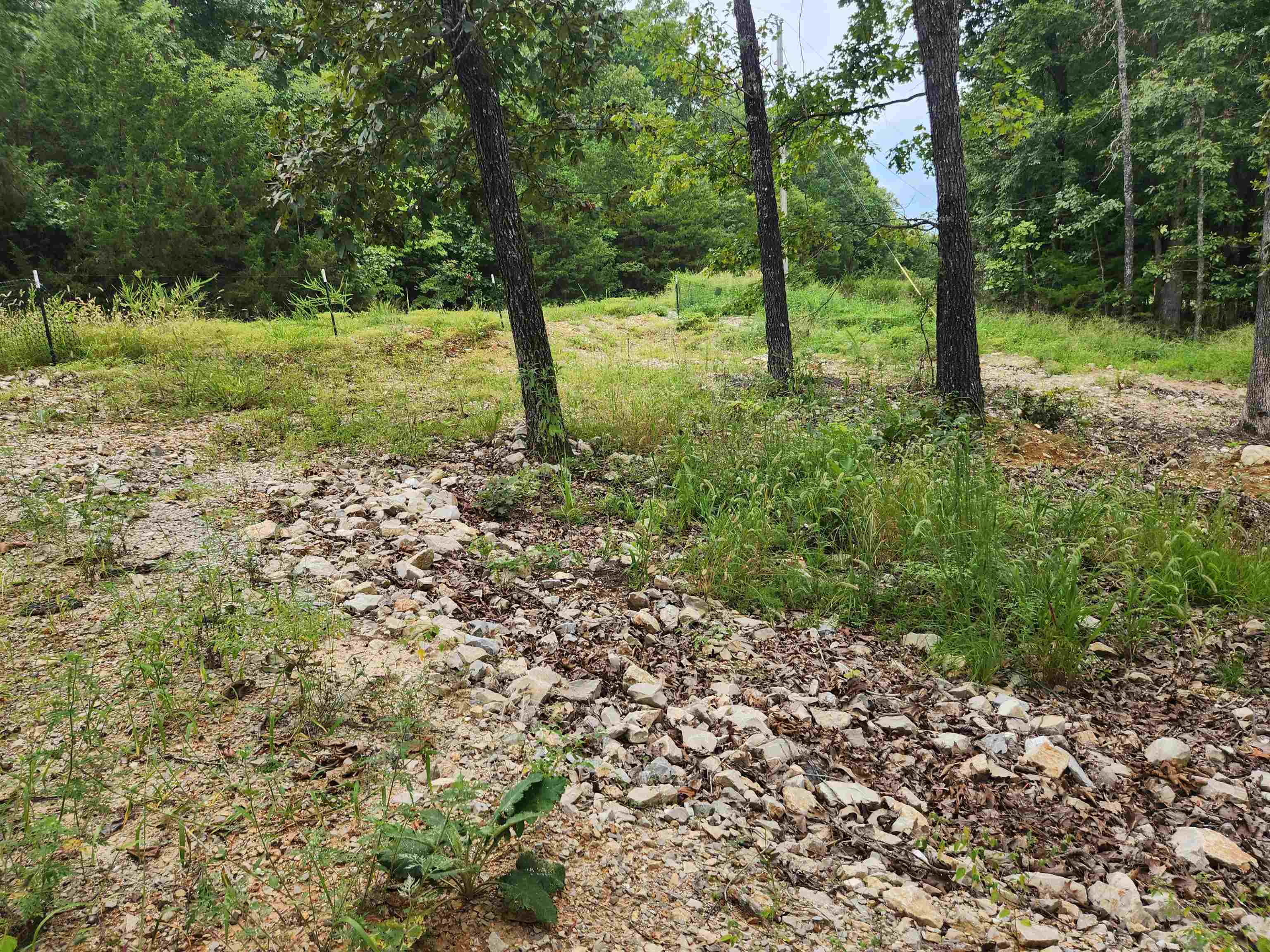 2206  Executive  Horseshoe Bend, AR