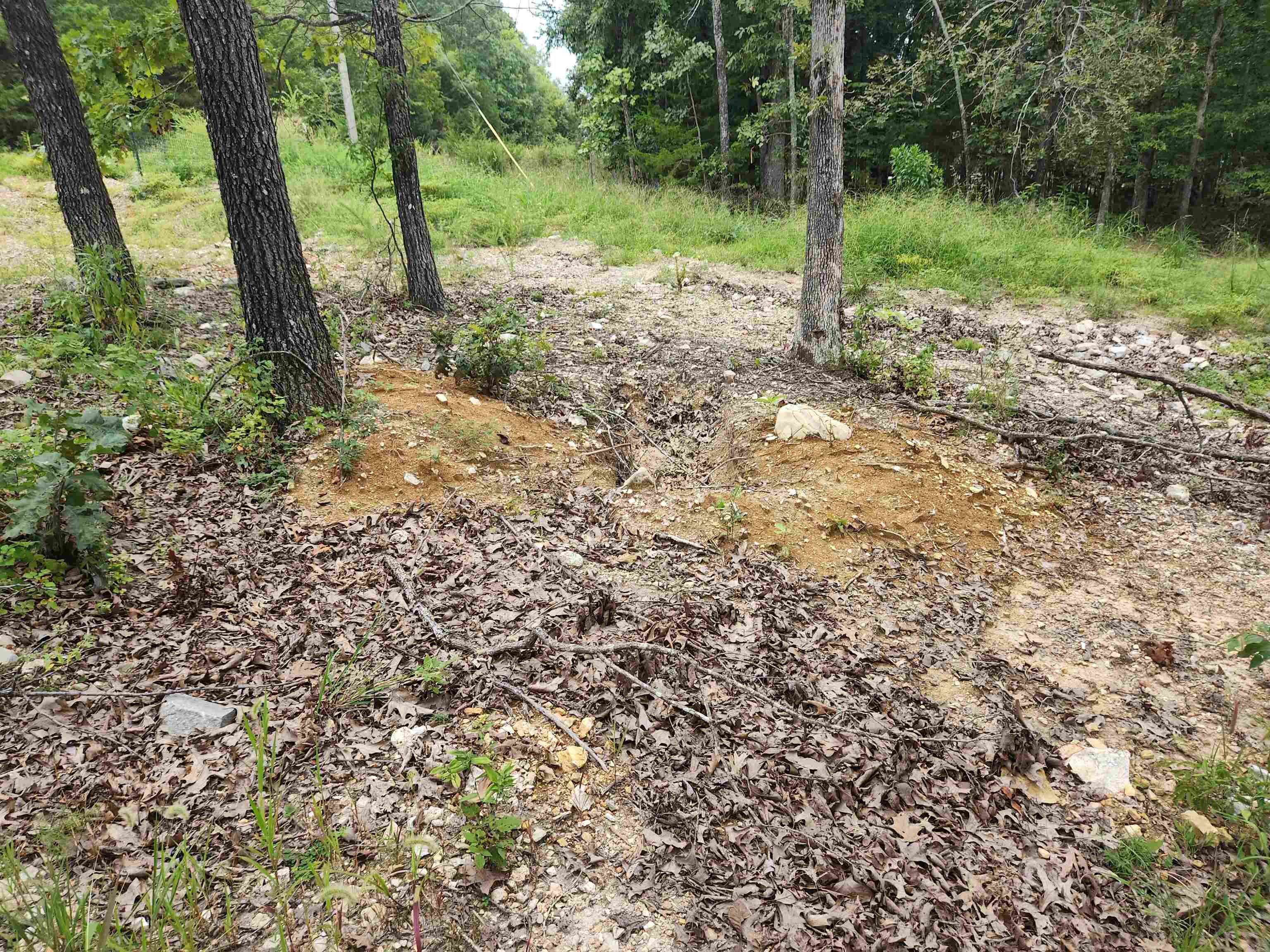 2206  Executive  Horseshoe Bend, AR