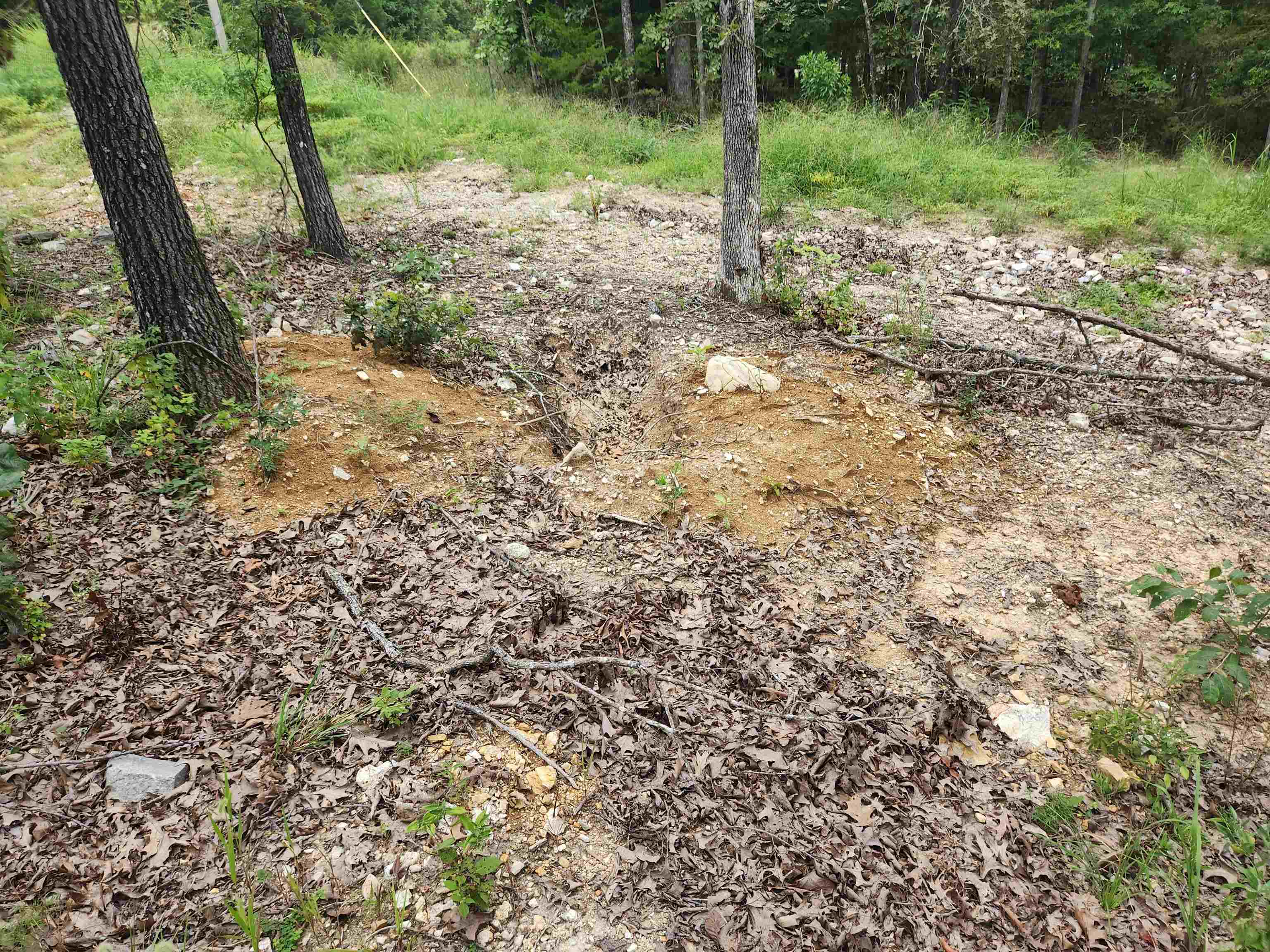 2206  Executive  Horseshoe Bend, AR