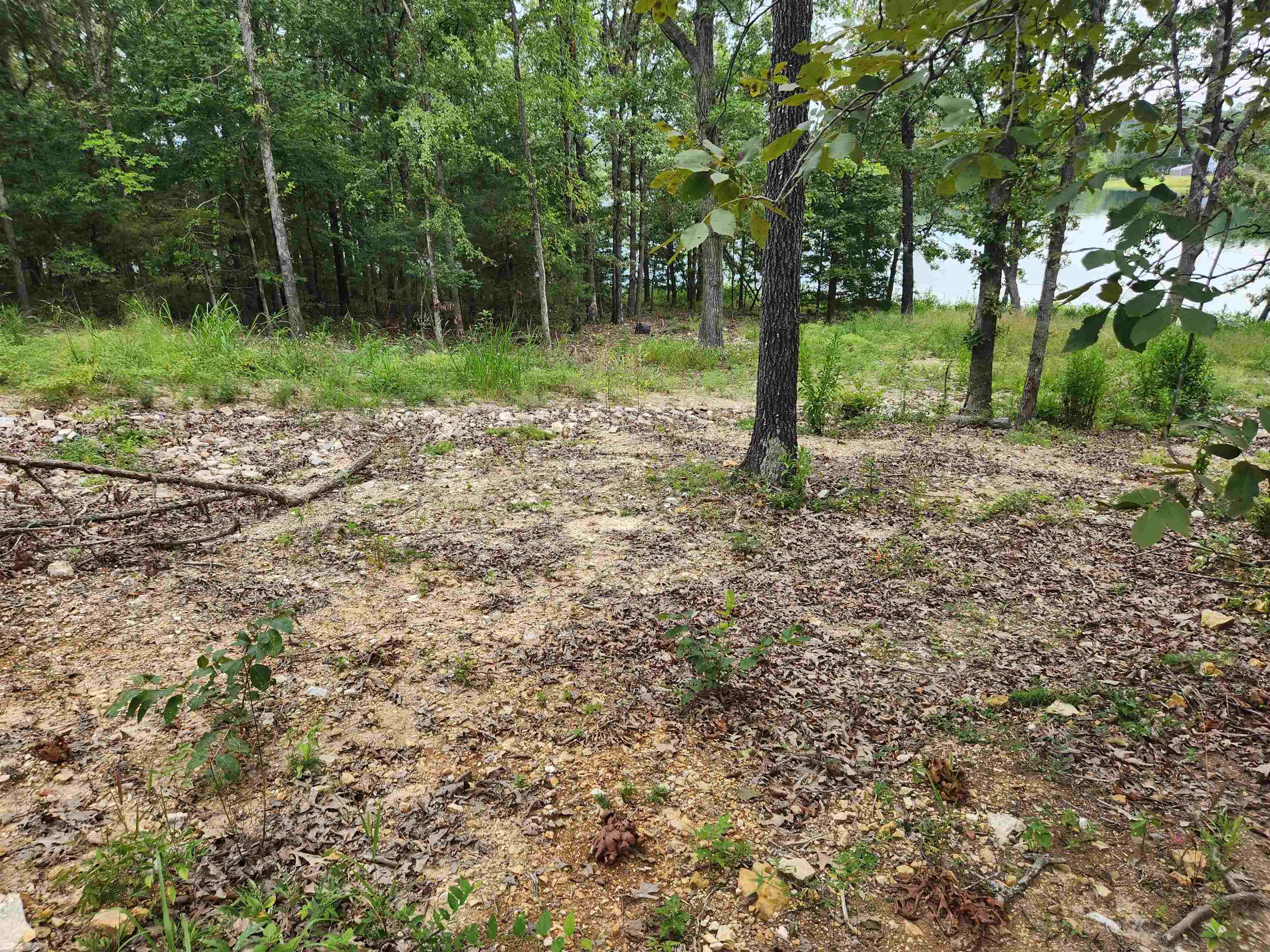 2206  Executive  Horseshoe Bend, AR