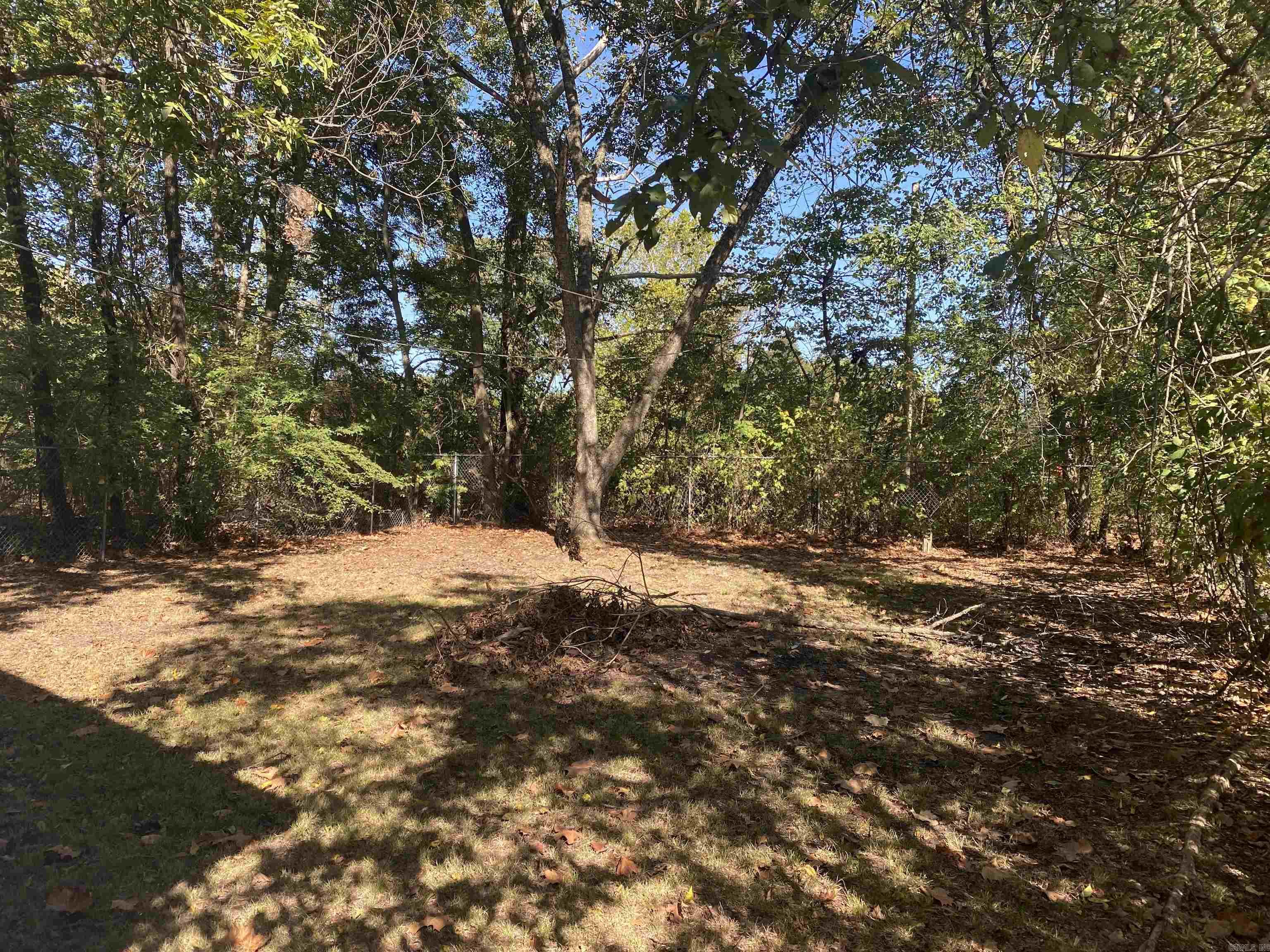 1519 S Tennessee  Pine Bluff, AR