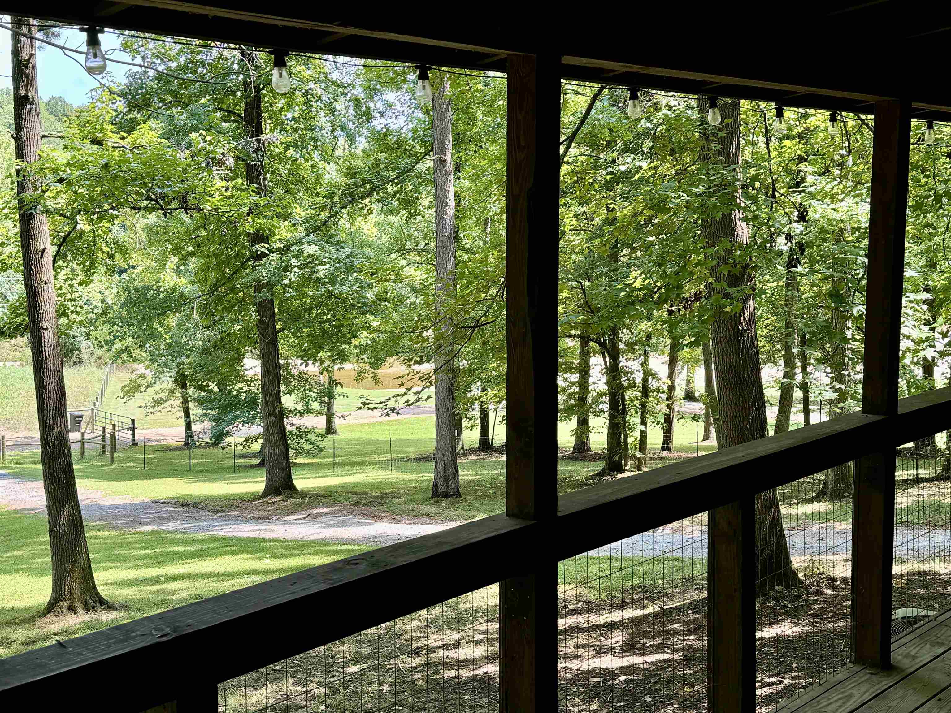 966  Pinewood Lane  Mountain View, AR