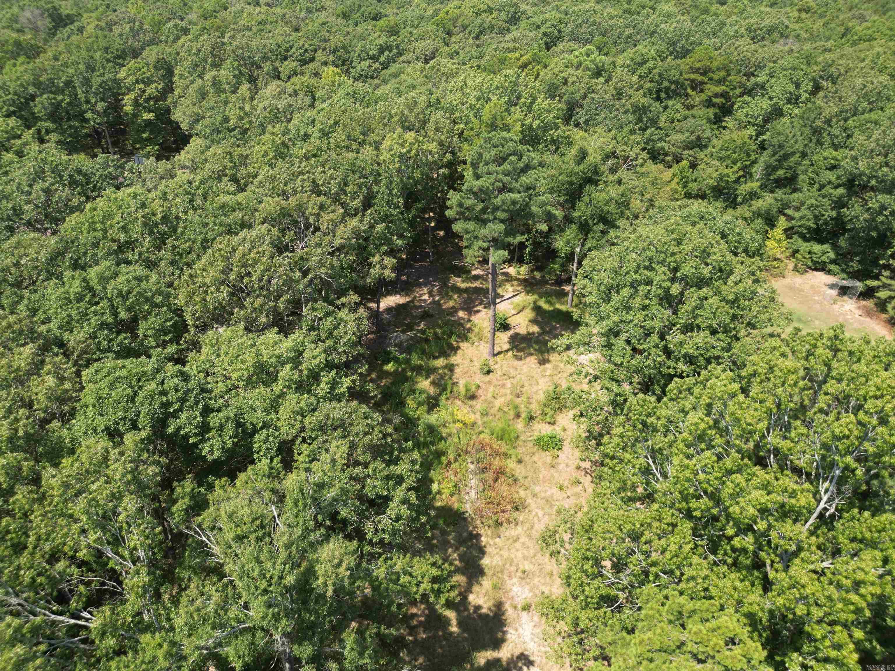 4512 Diovky  Pine Bluff, AR
