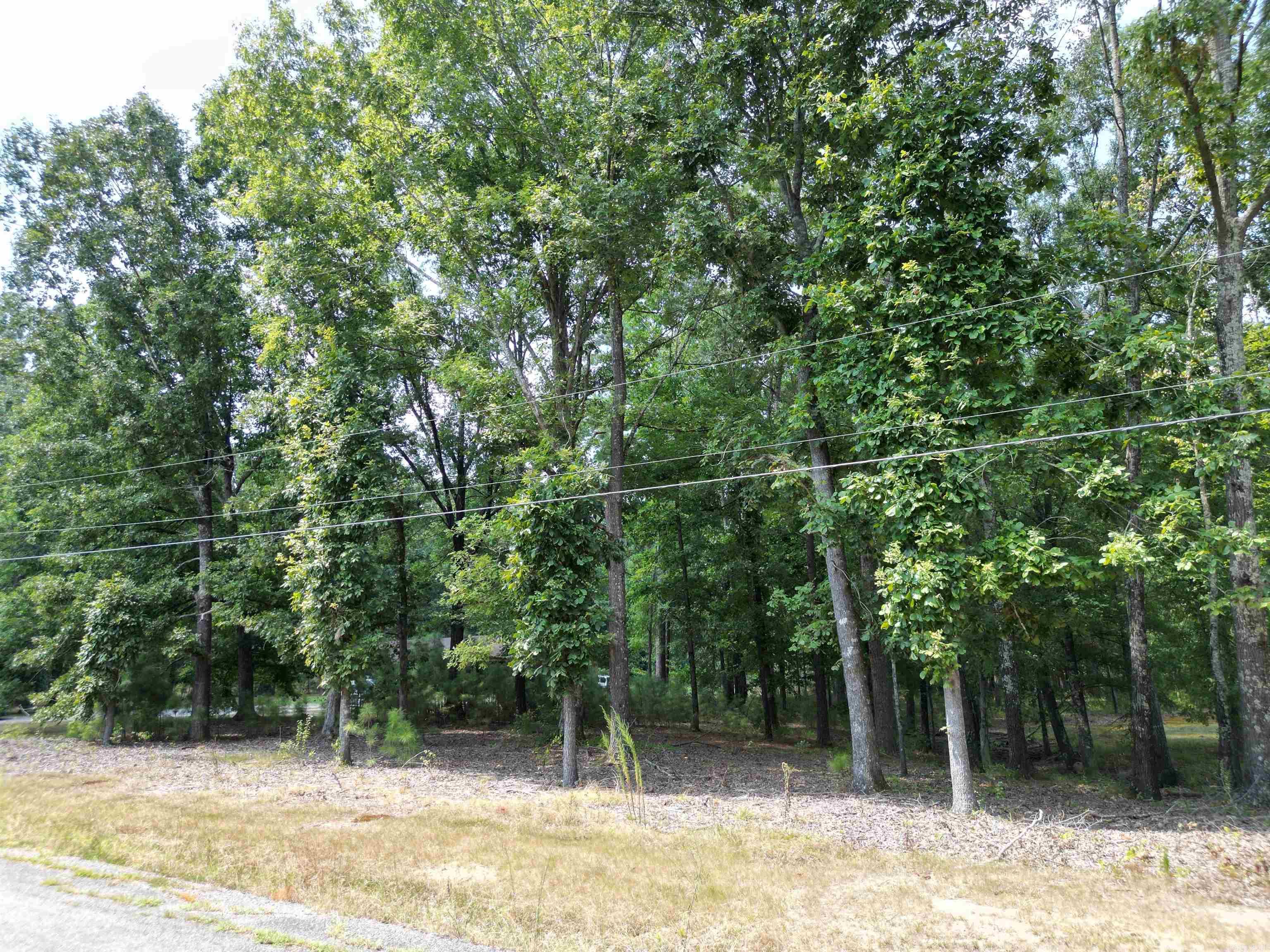 4512 Diovky  Pine Bluff, AR