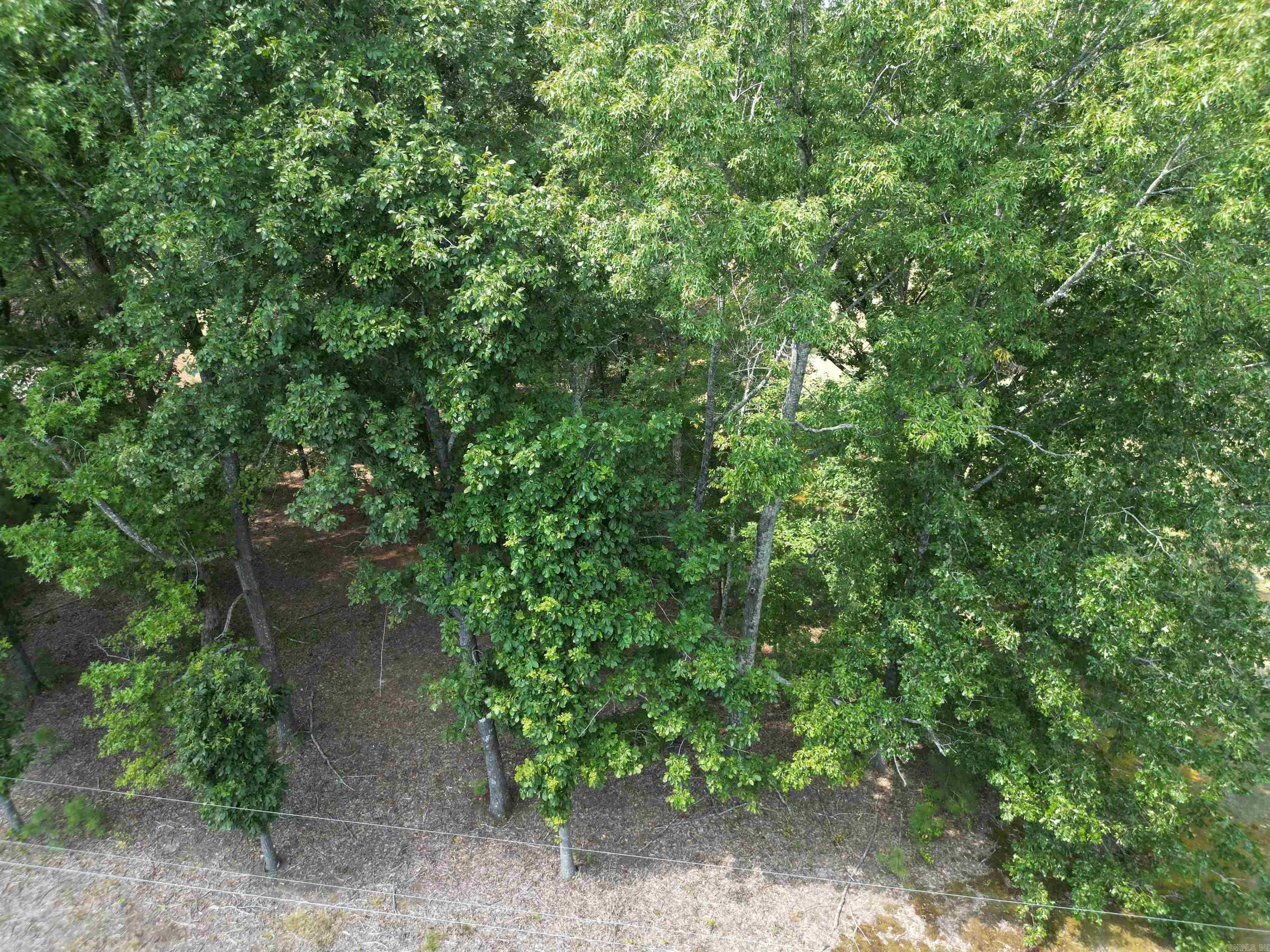 4512 Diovky  Pine Bluff, AR
