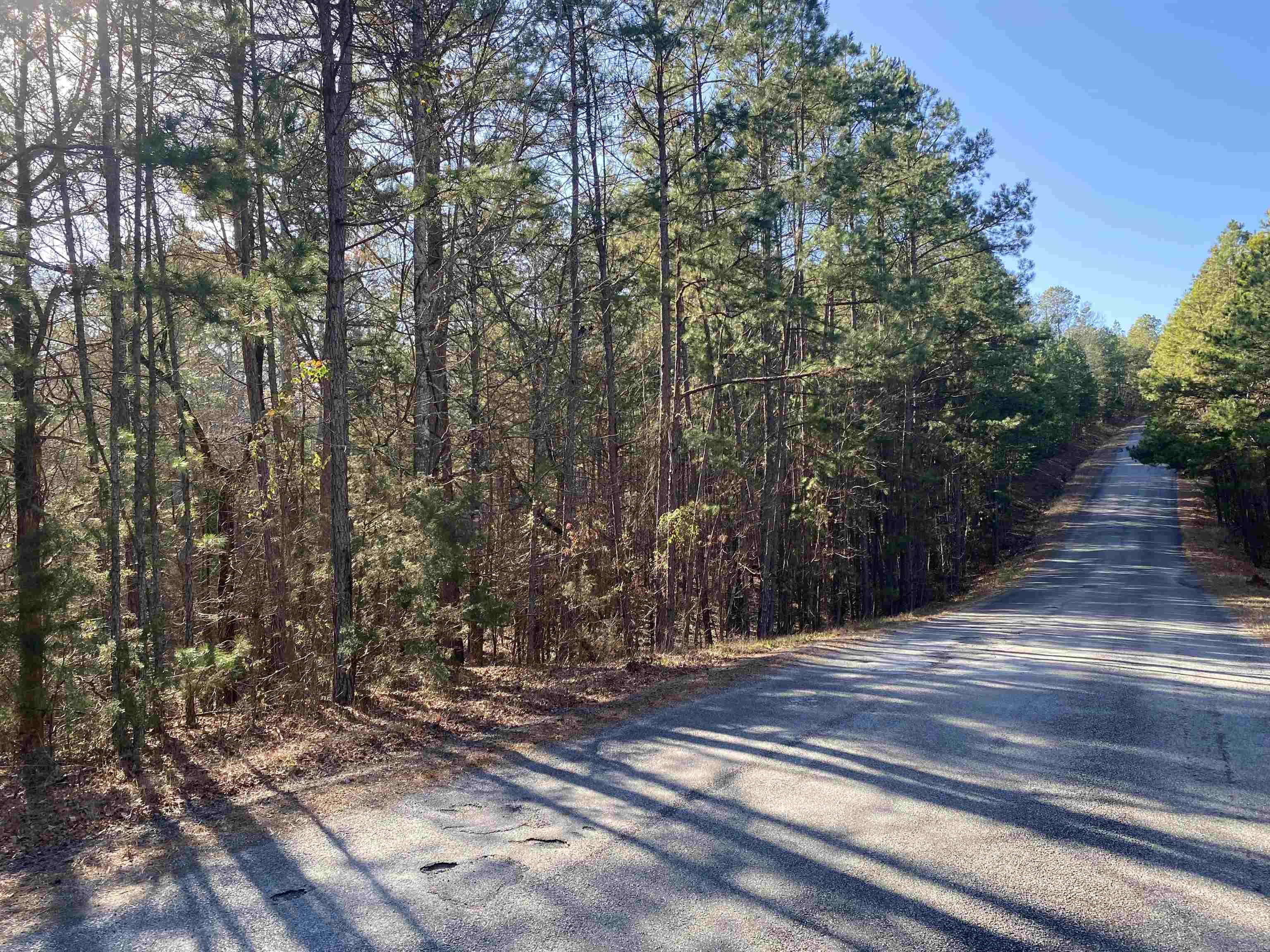 16.61 Acres  Mountain Park Road  Shirley, AR