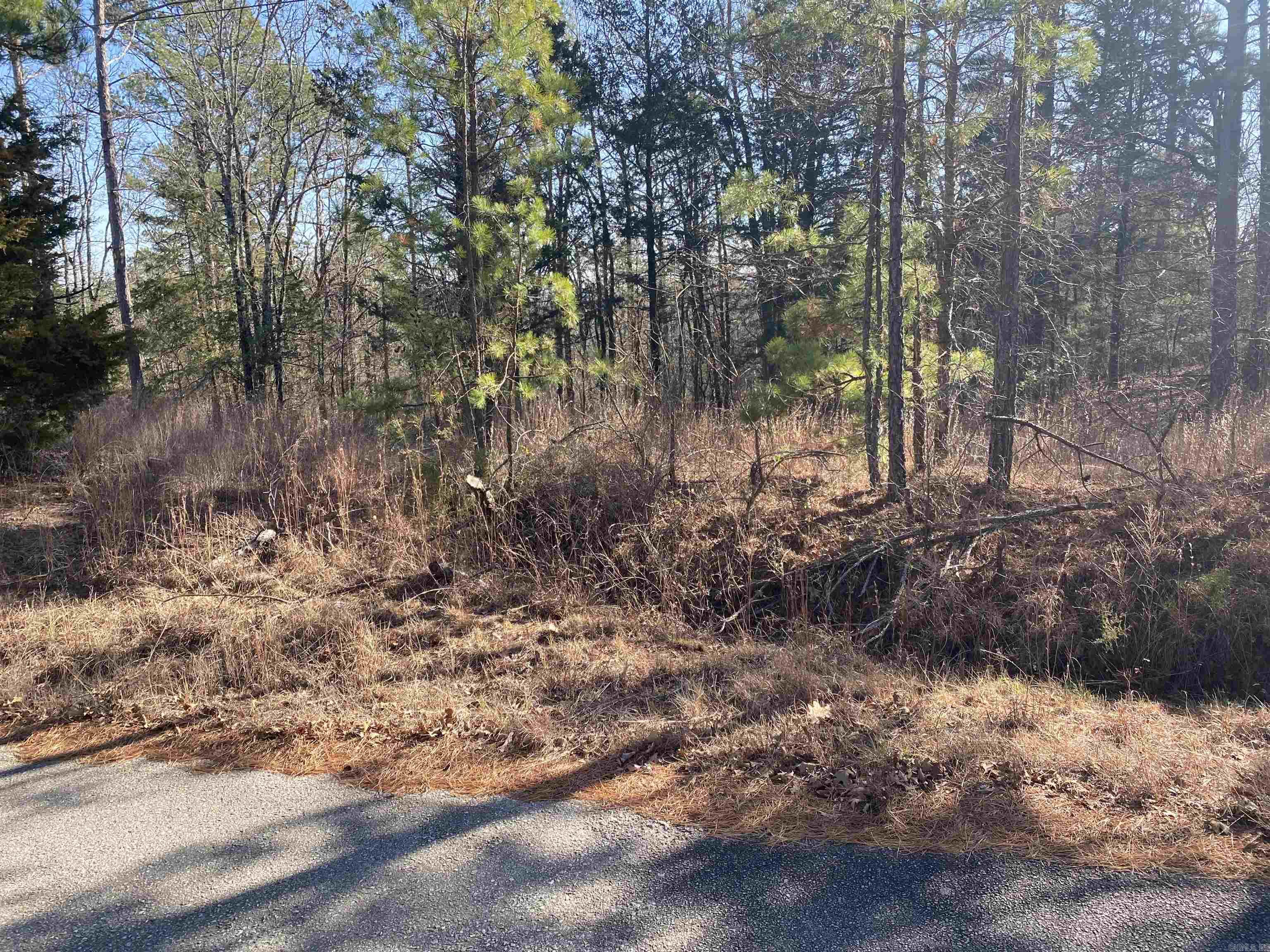 16.61 Acres  Mountain Park Road  Shirley, AR