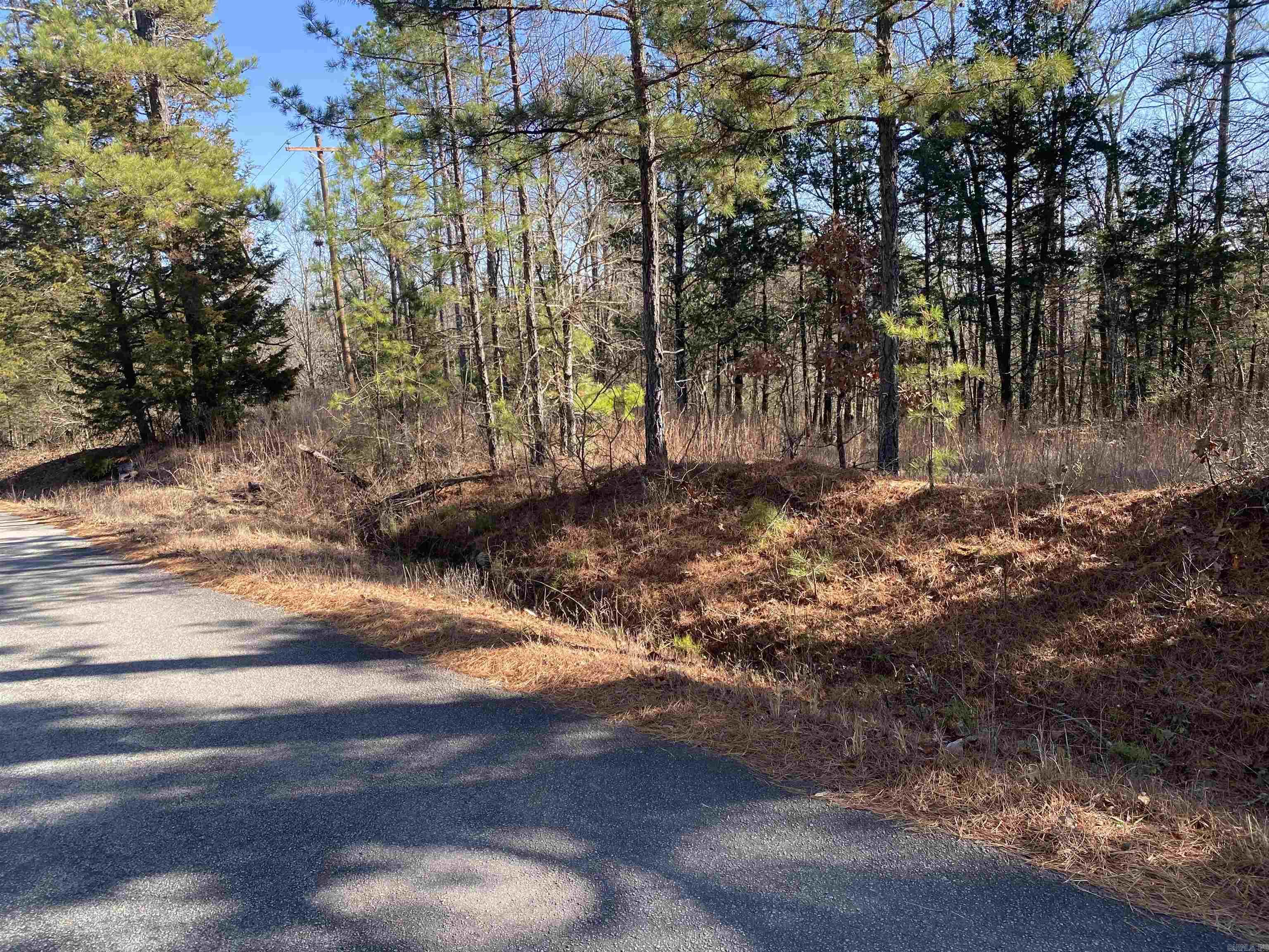 16.61 Acres  Mountain Park Road  Shirley, AR
