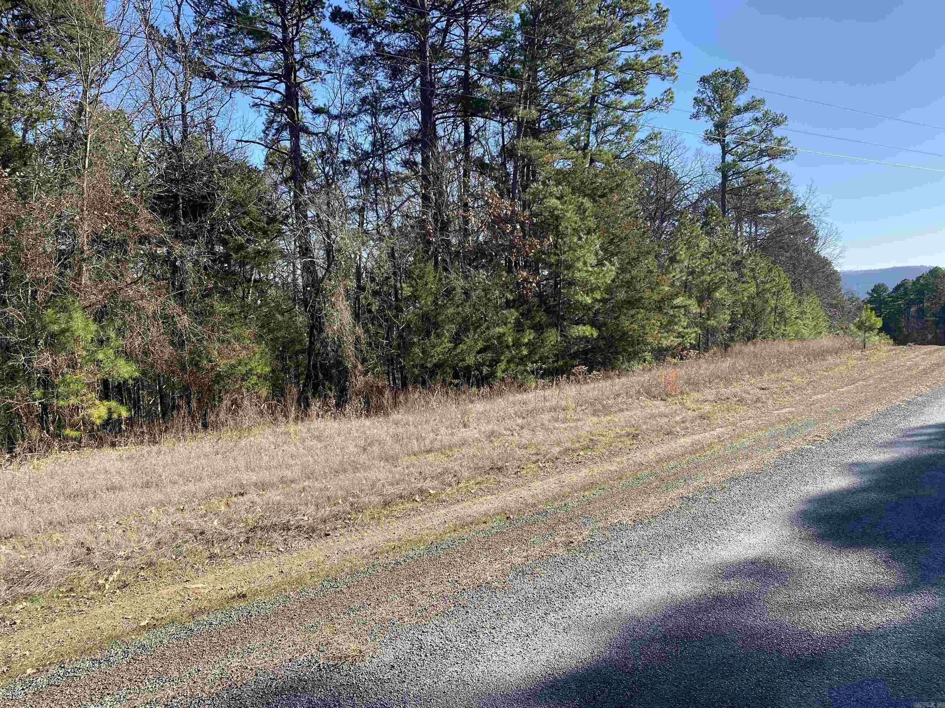 16.61 Acres  Mountain Park Road  Shirley, AR