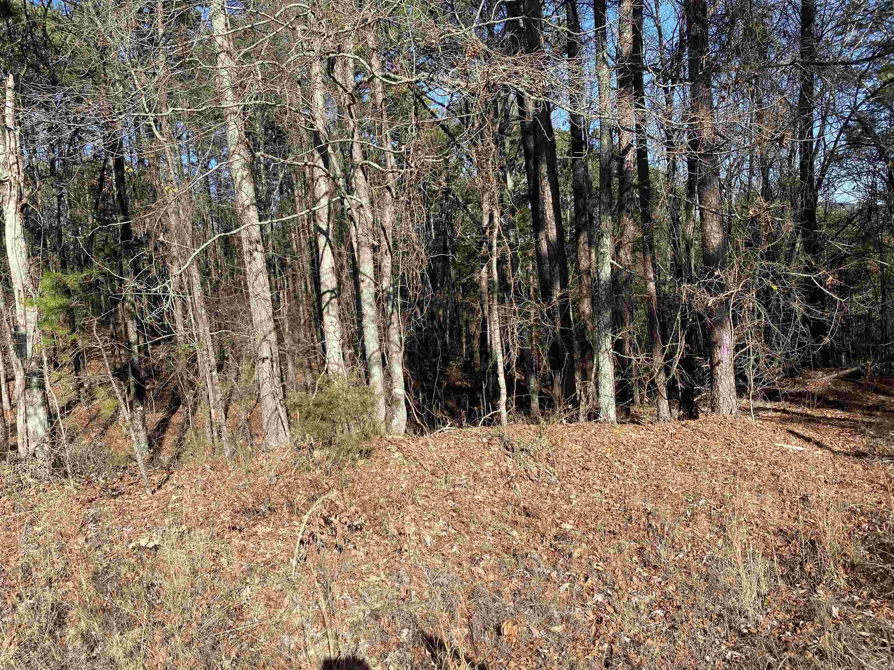16.61 Acres  Mountain Park Road  Shirley, AR