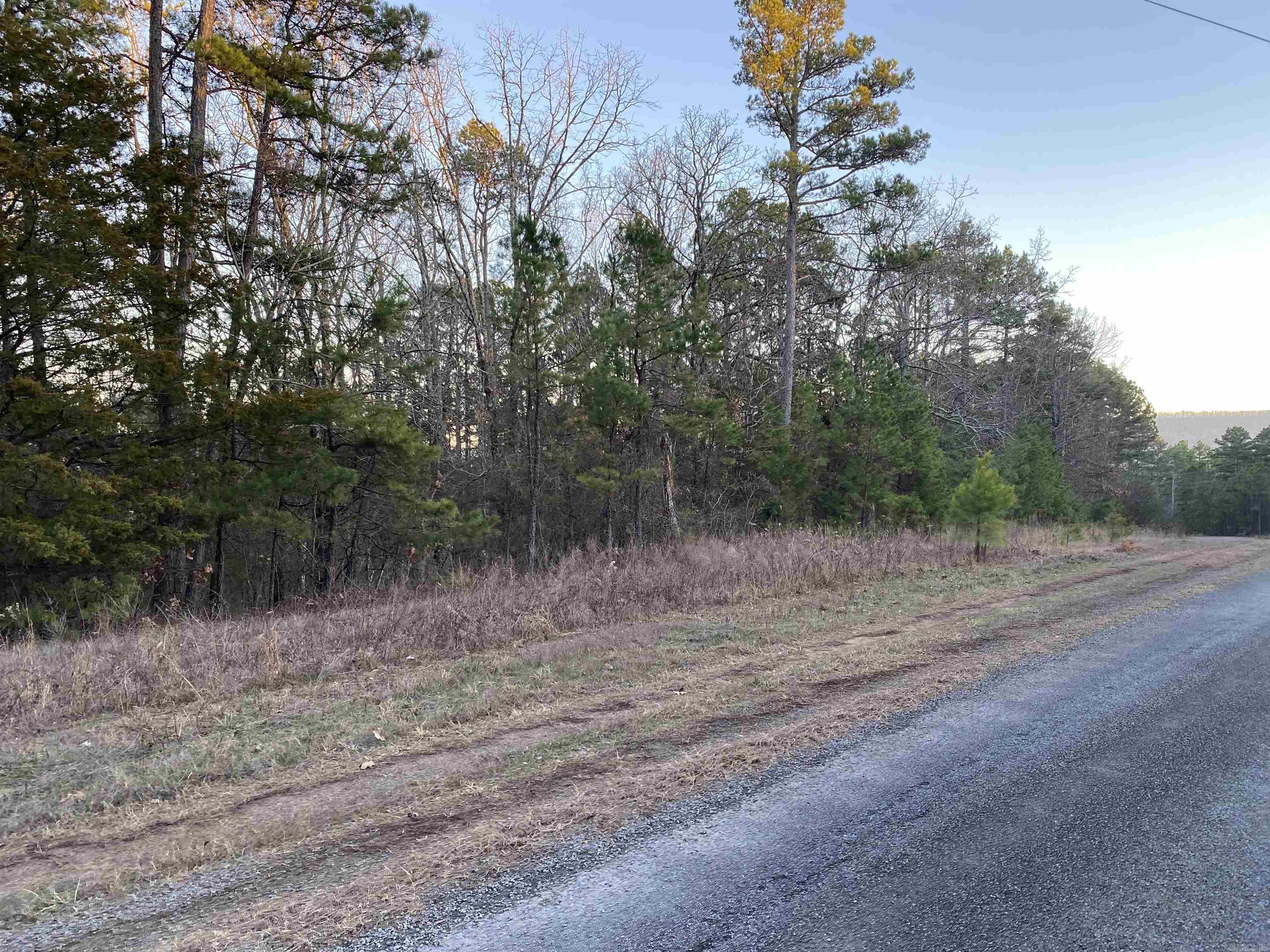 16.61 Acres  Mountain Park Road  Shirley, AR