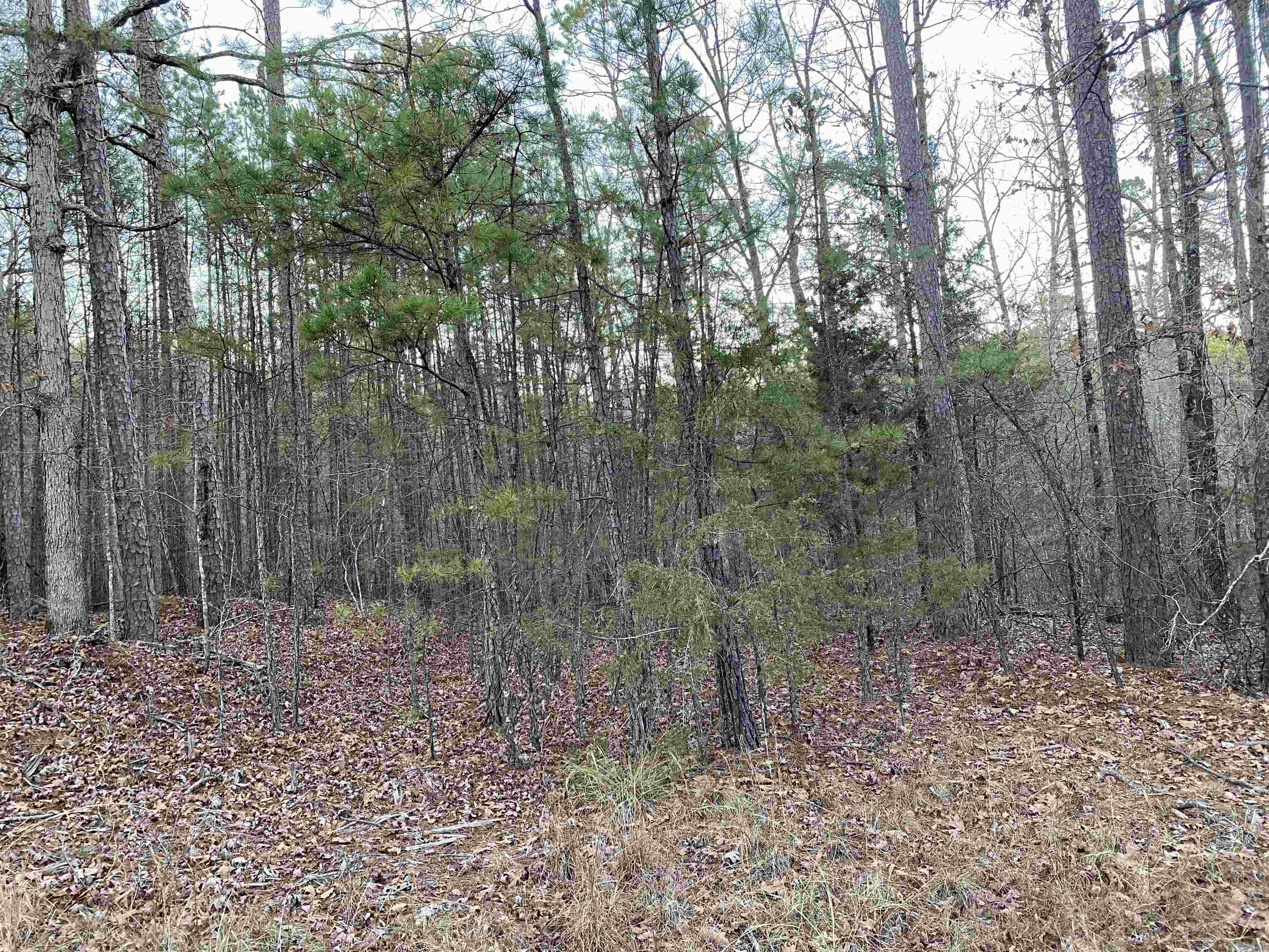 16.61 Acres  Mountain Park Road  Shirley, AR