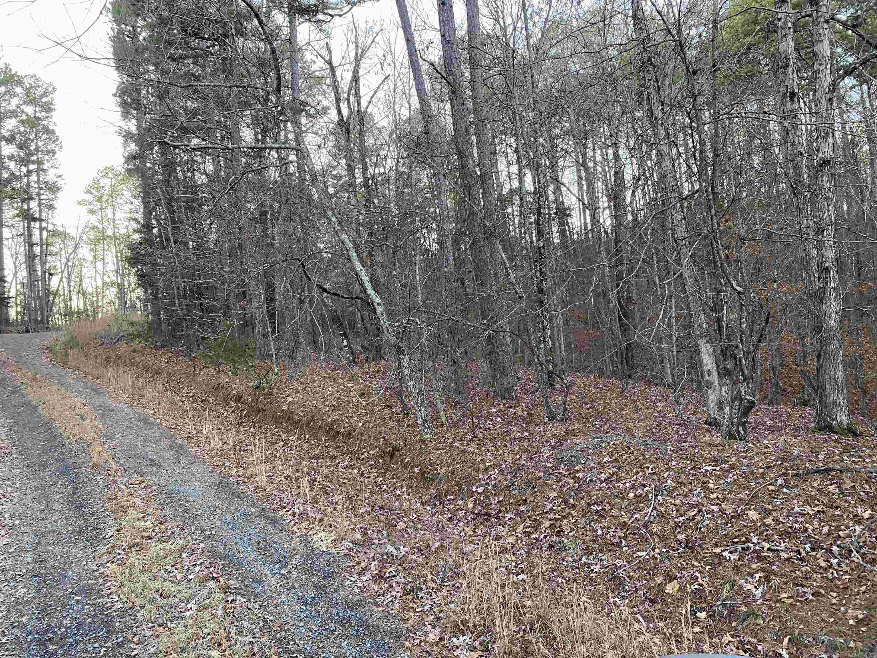 16.61 Acres  Mountain Park Road  Shirley, AR