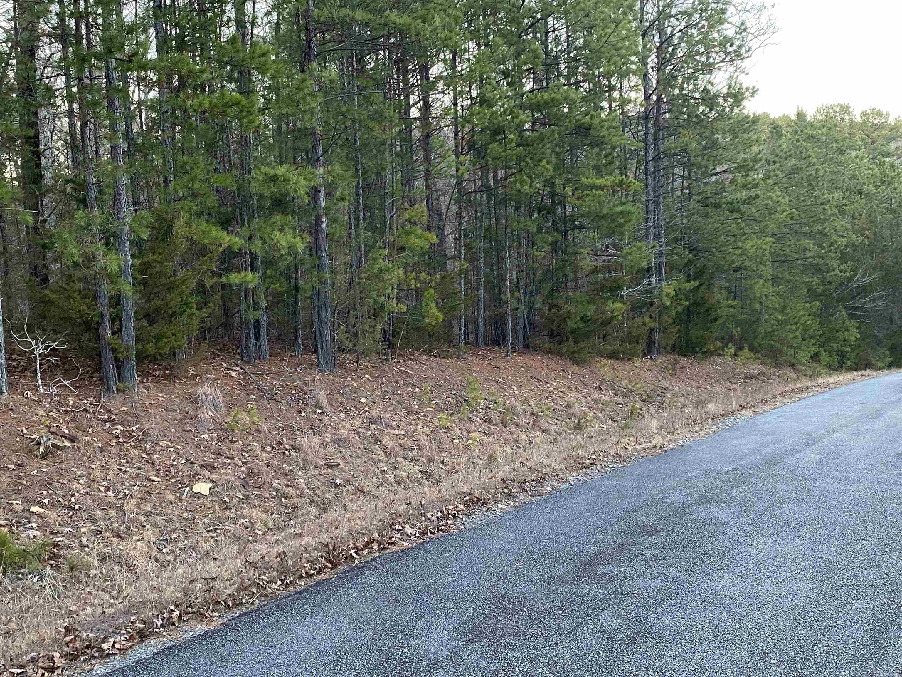 16.61 Acres  Mountain Park Road  Shirley, AR