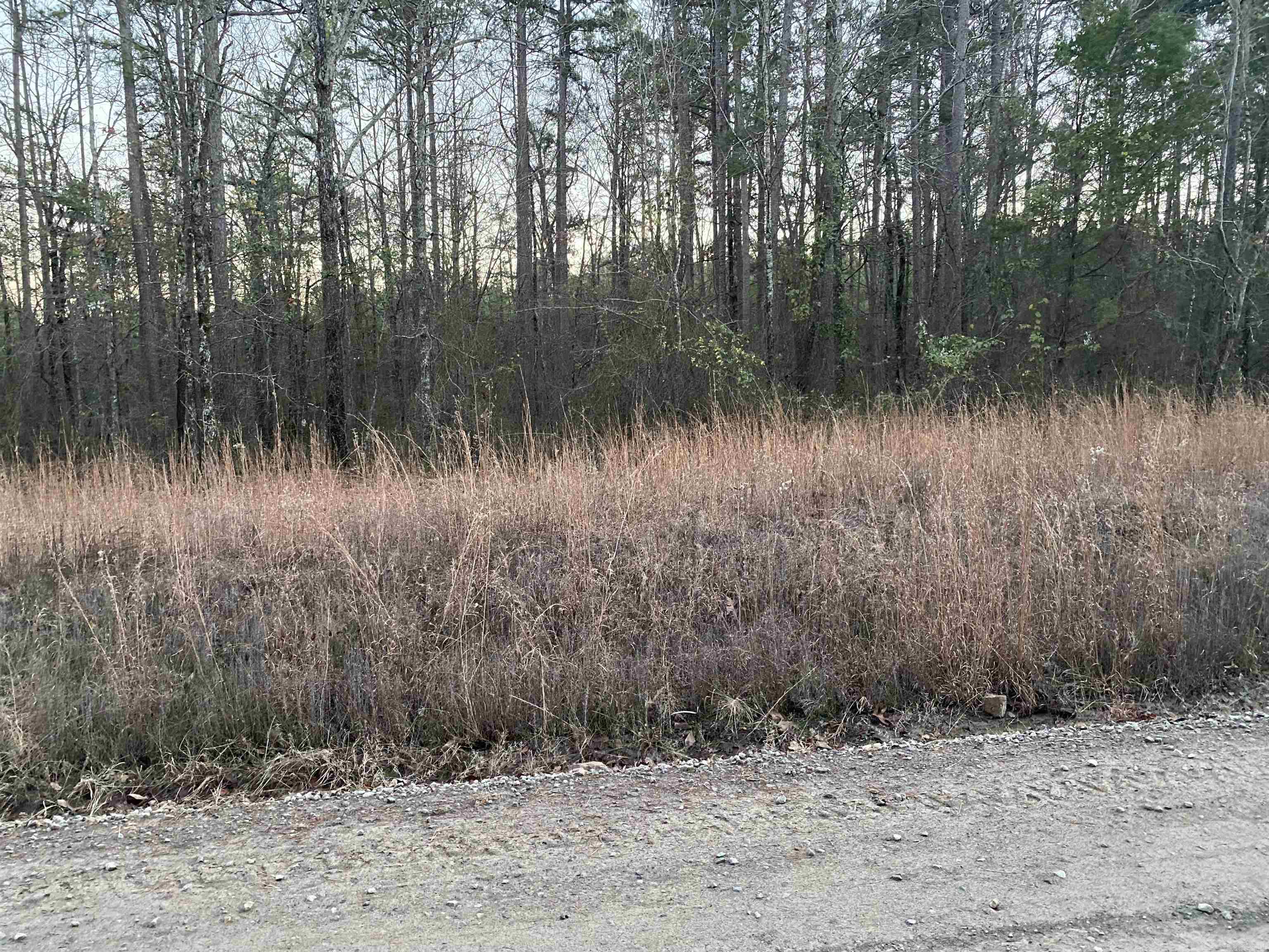 16.61 Acres  Mountain Park Road  Shirley, AR