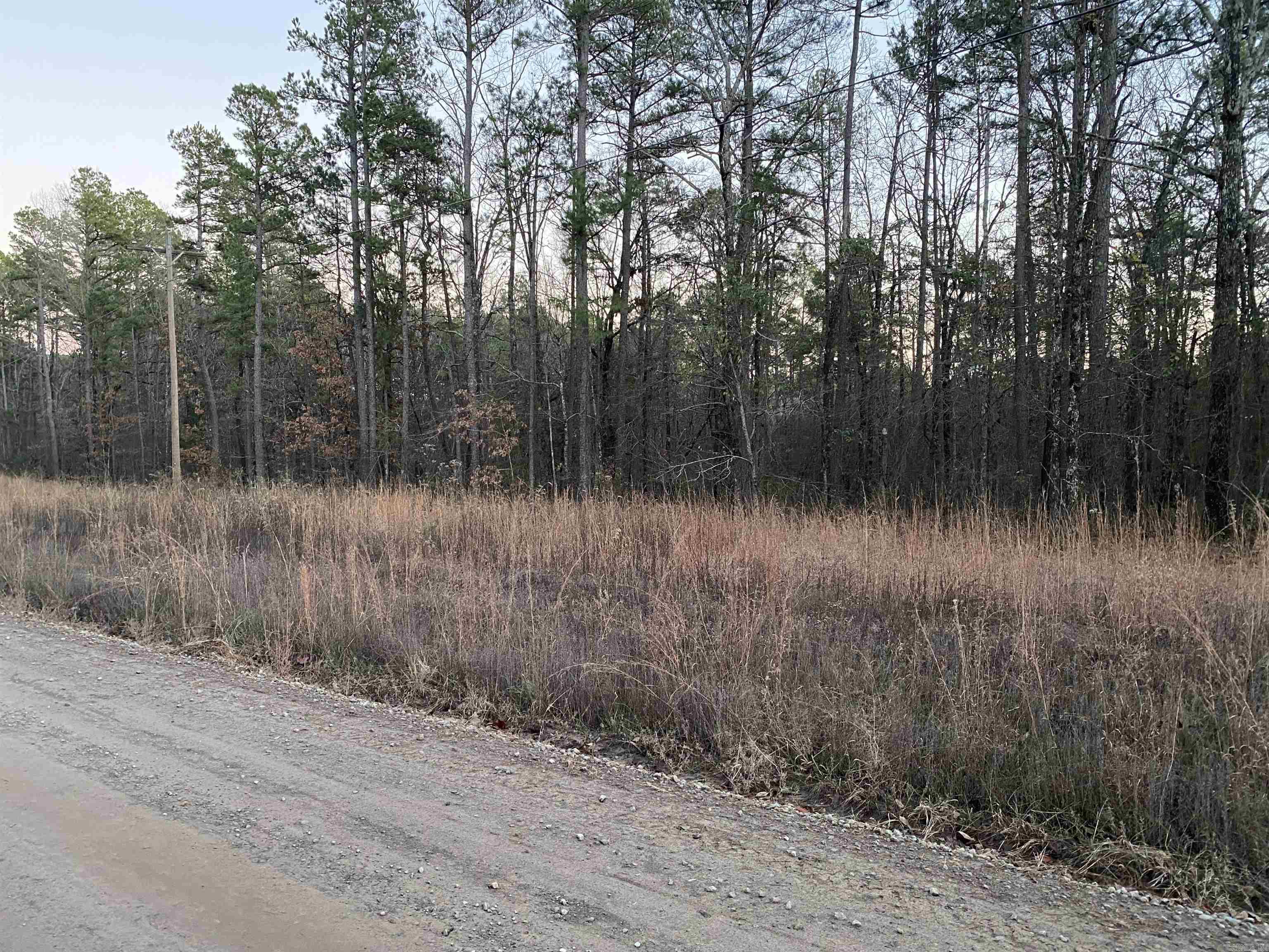 16.61 Acres  Mountain Park Road  Shirley, AR