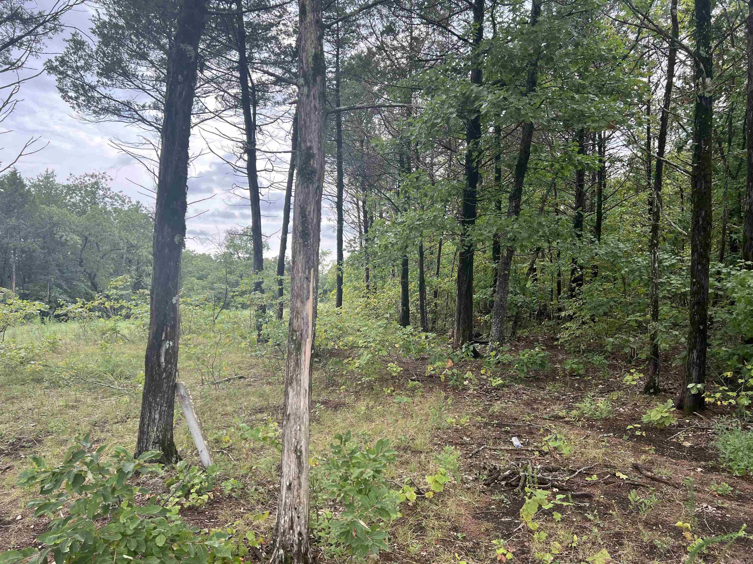   Grassy Gap  Harrison, AR
