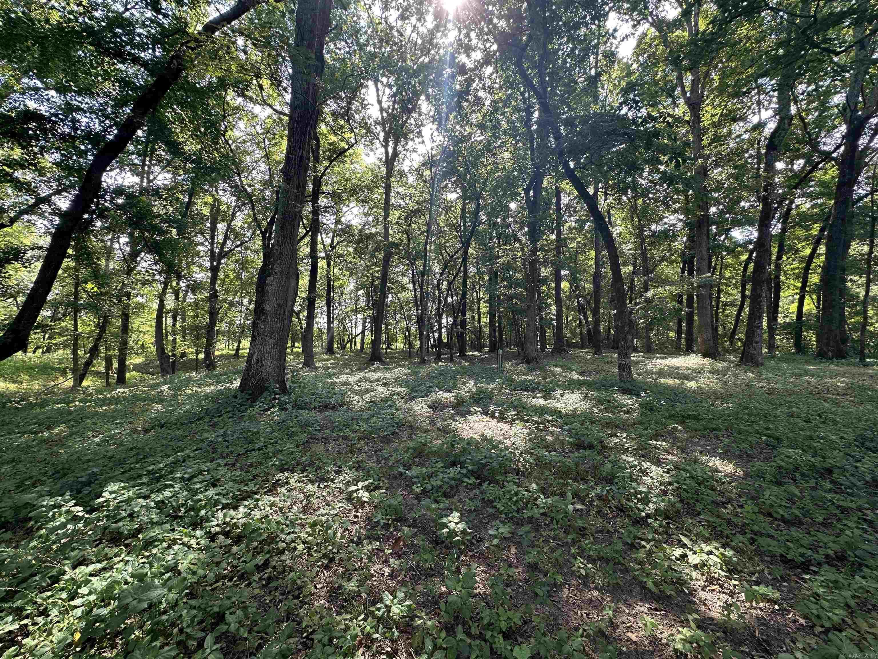 000  Little Dunham  Heber Springs, AR