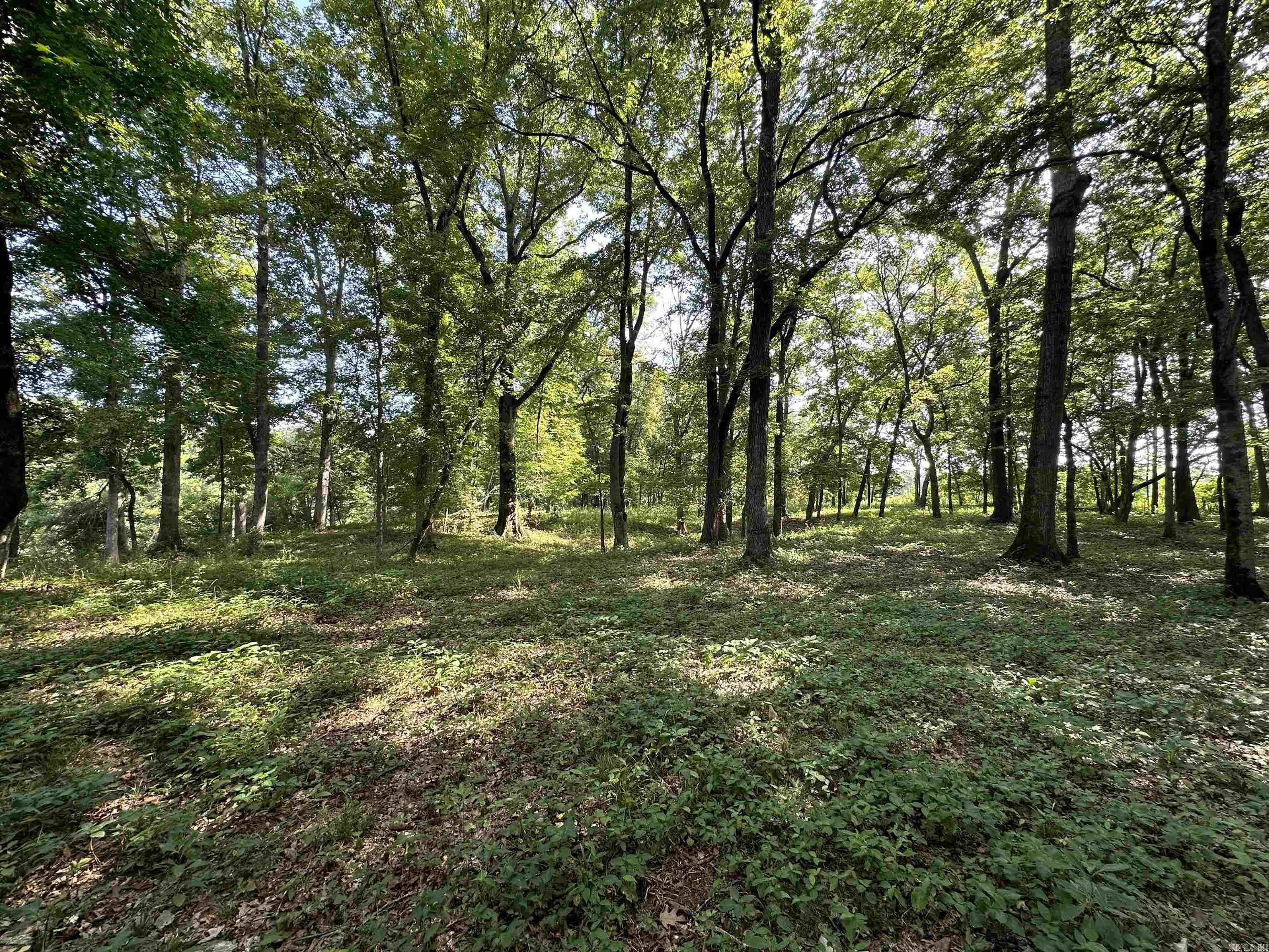 000  Little Dunham  Heber Springs, AR