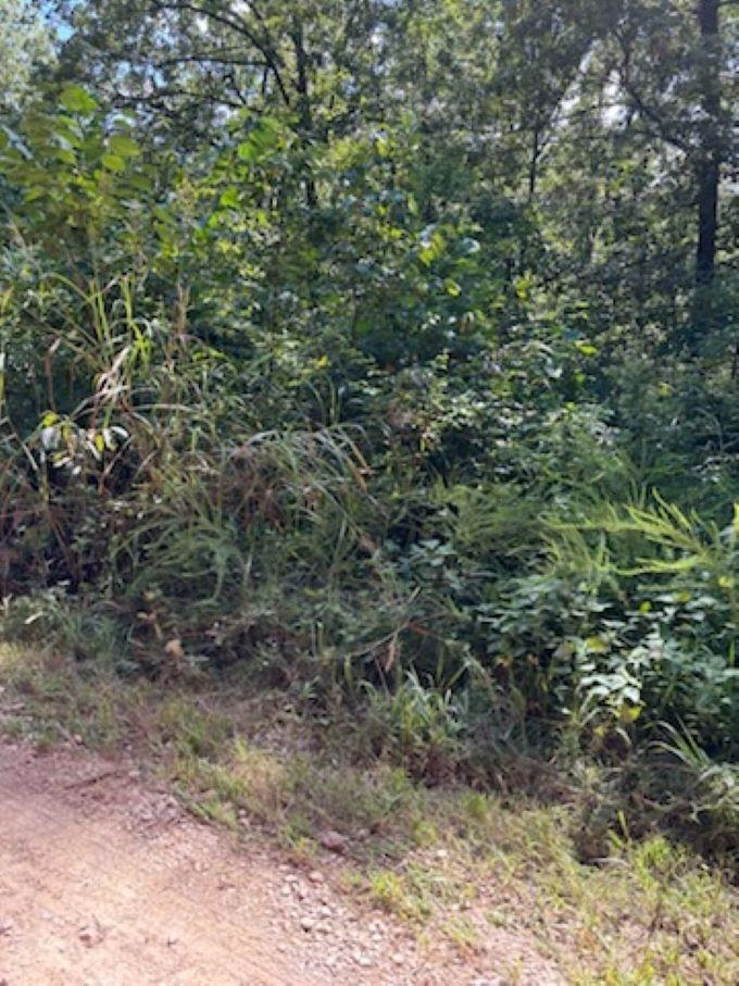 00  Off FM 101 Rd  Highland, AR