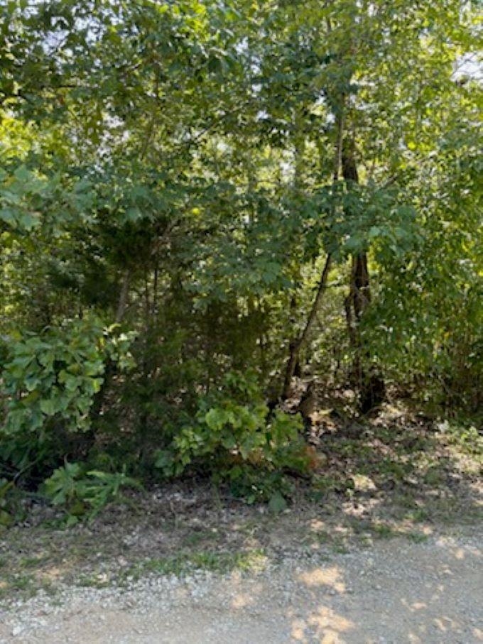 00  Off FM 101 Rd  Highland, AR