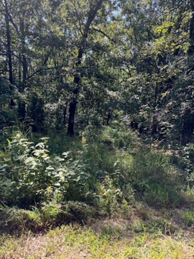 00  Off FM 101 Rd  Highland, AR