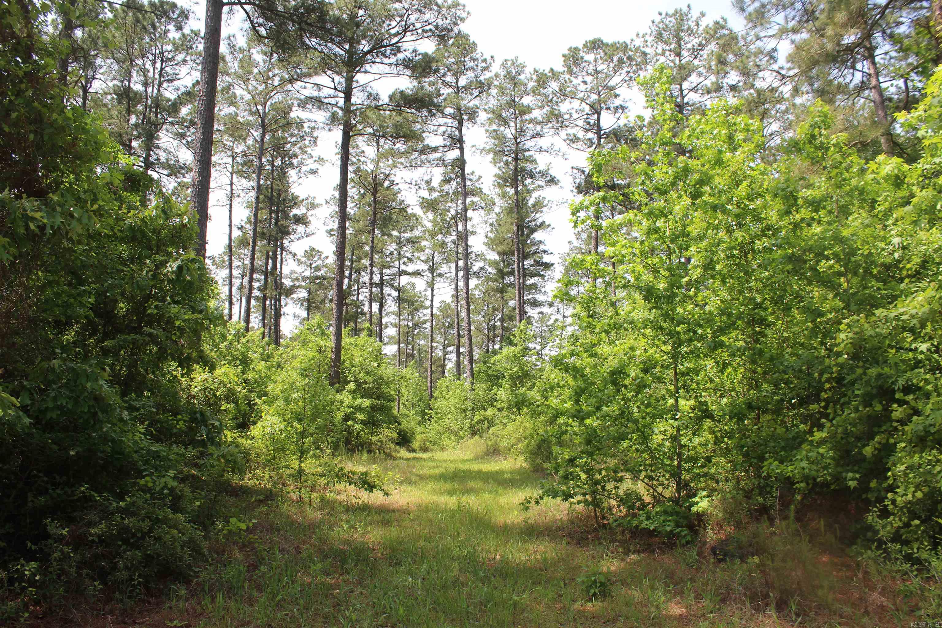 201  NEVADA 25  Rosston, AR