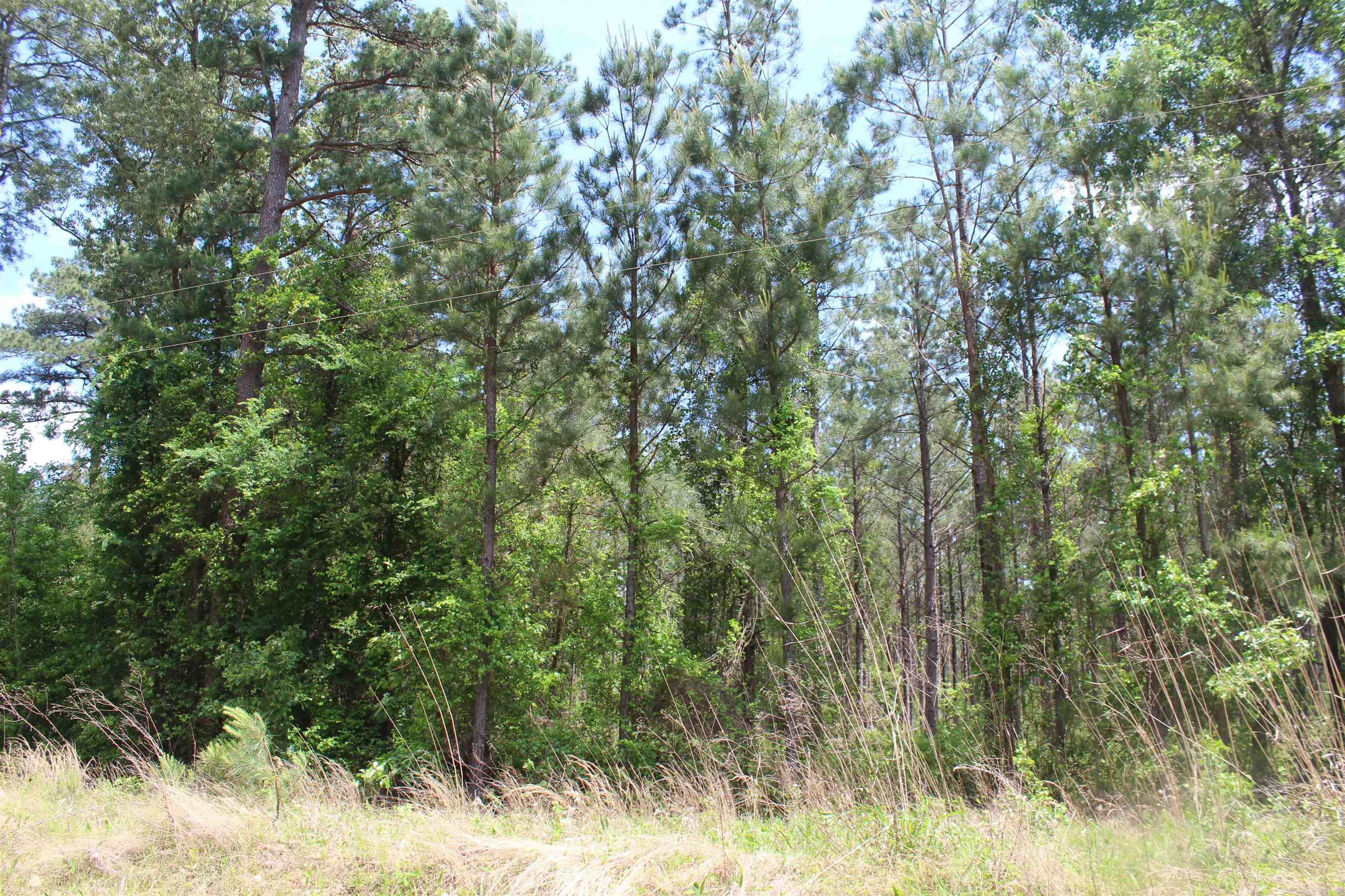 201  NEVADA 25  Rosston, AR