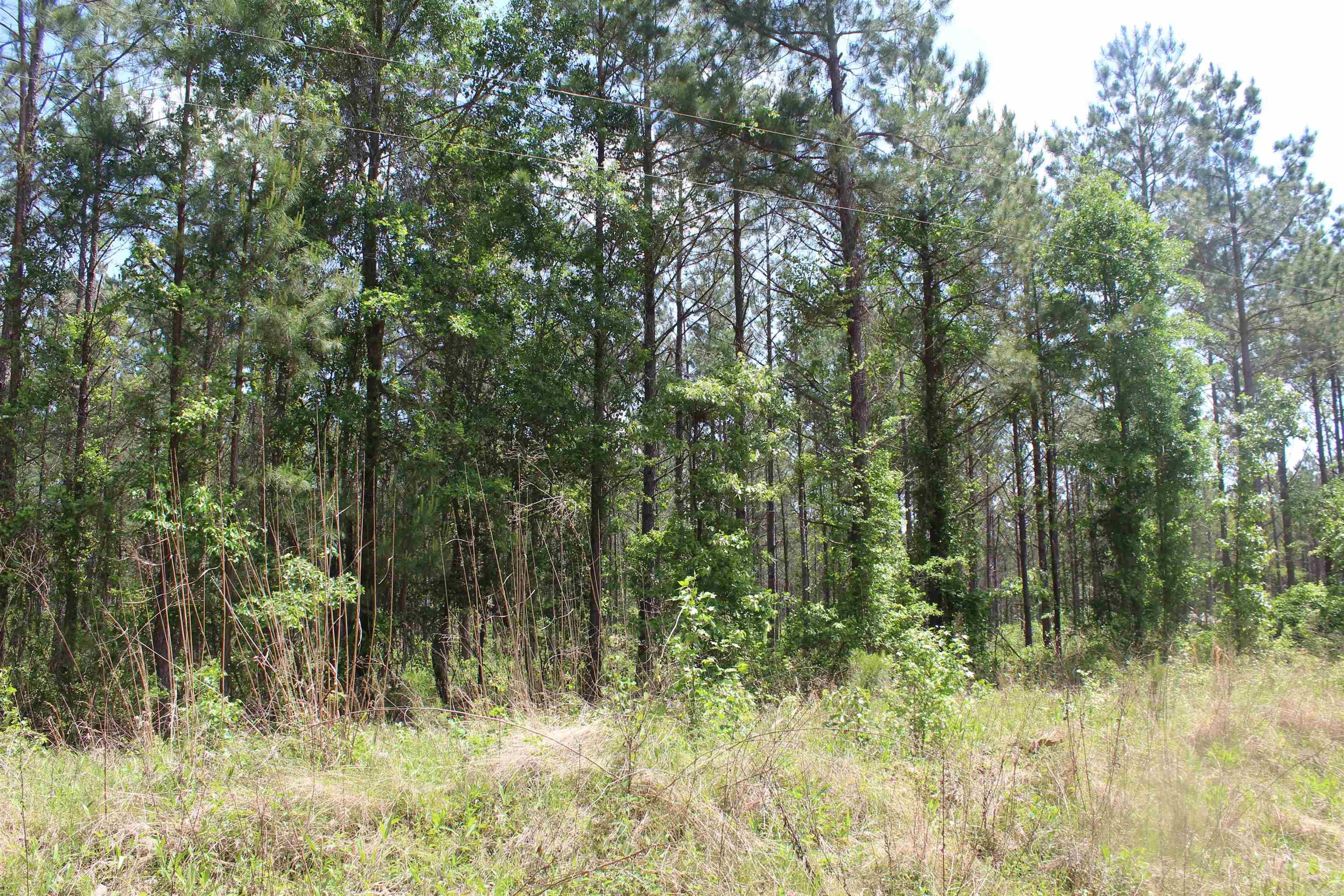 201  NEVADA 25  Rosston, AR