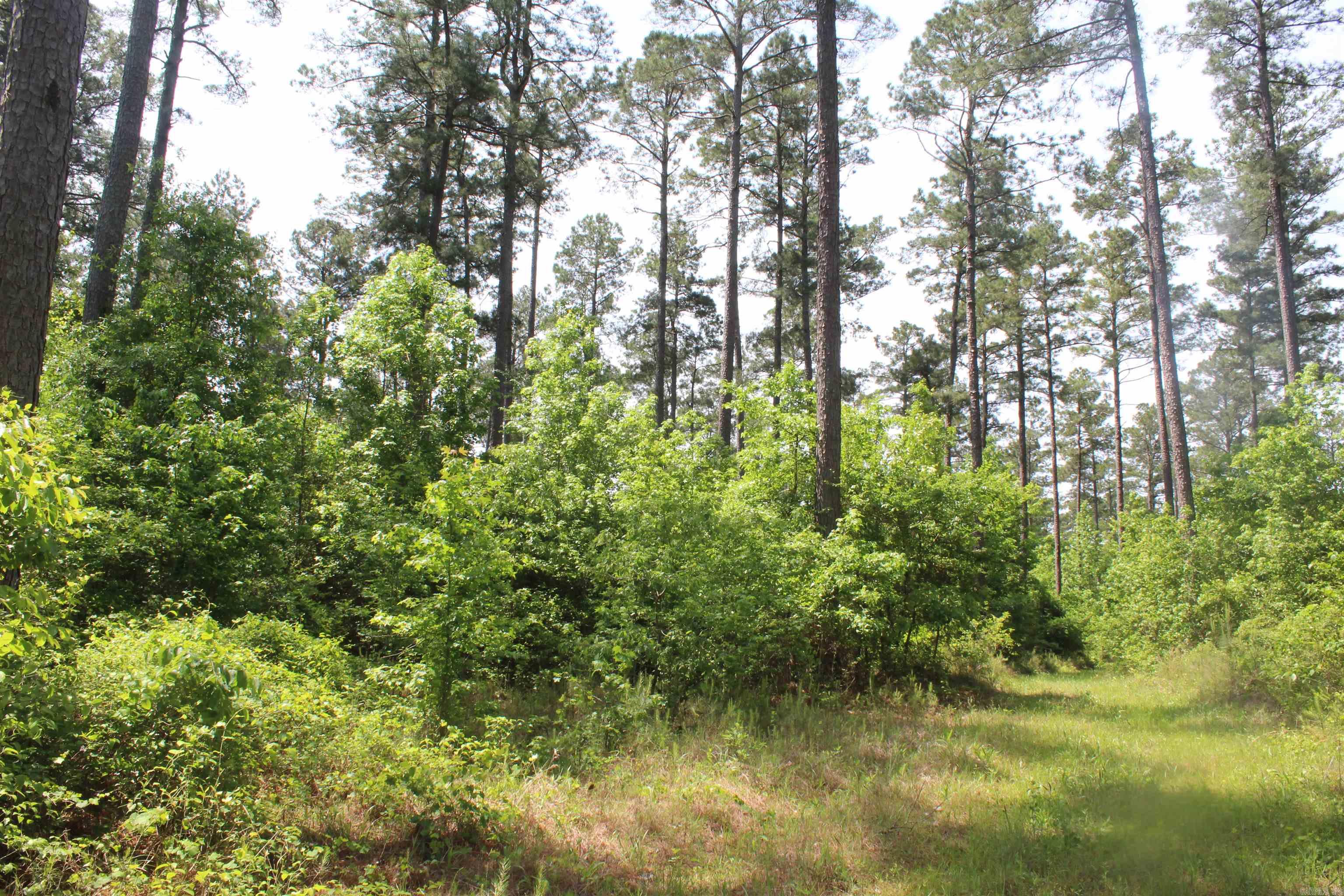 201  NEVADA 25  Rosston, AR