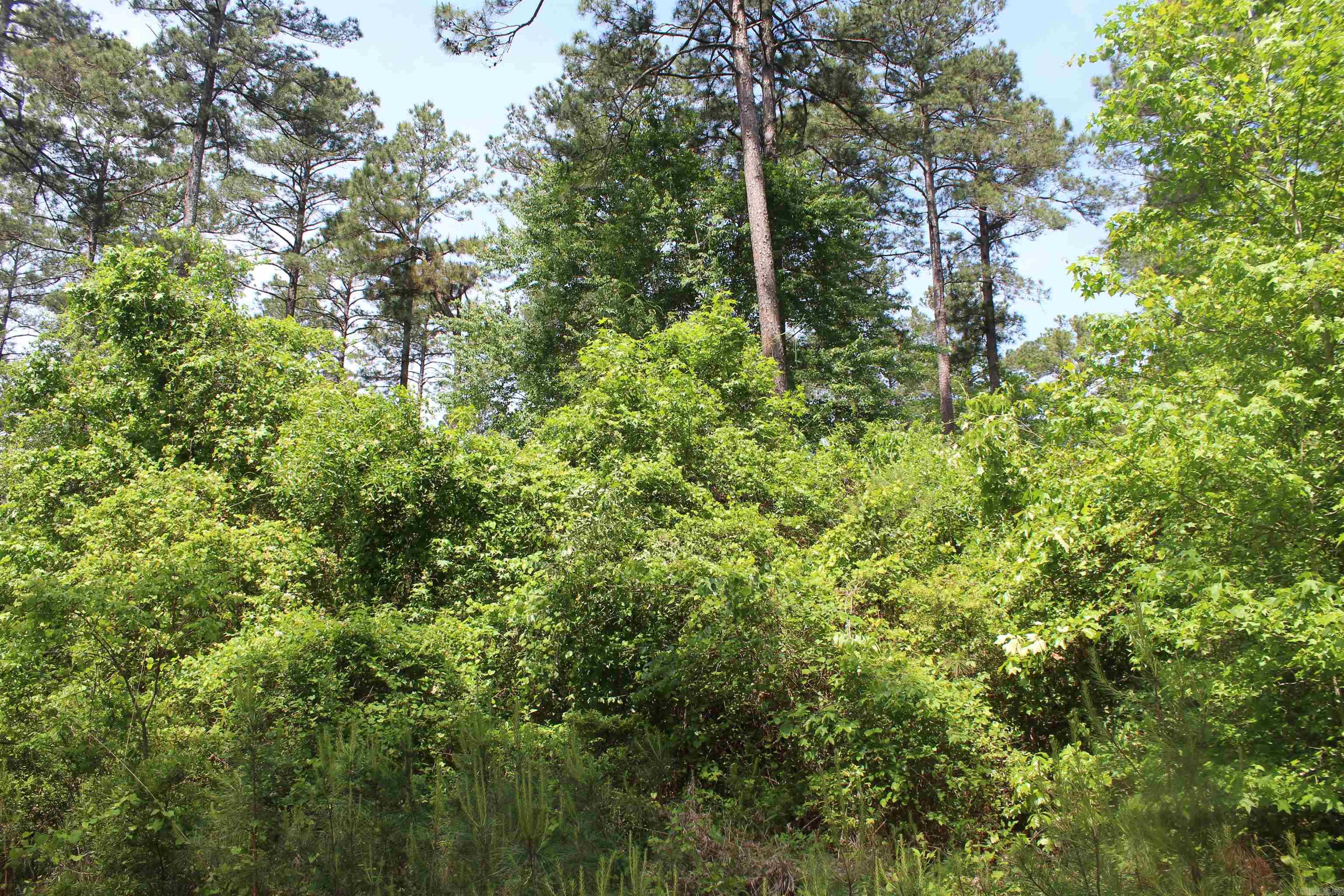 201  NEVADA 25  Rosston, AR
