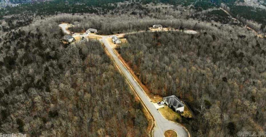 12  Mountain Vista  Alexander, AR