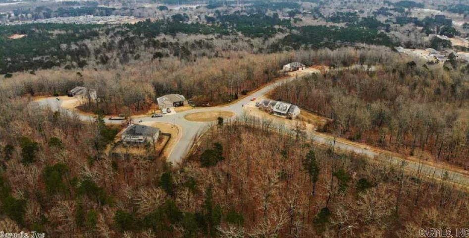 12  Mountain Vista  Alexander, AR