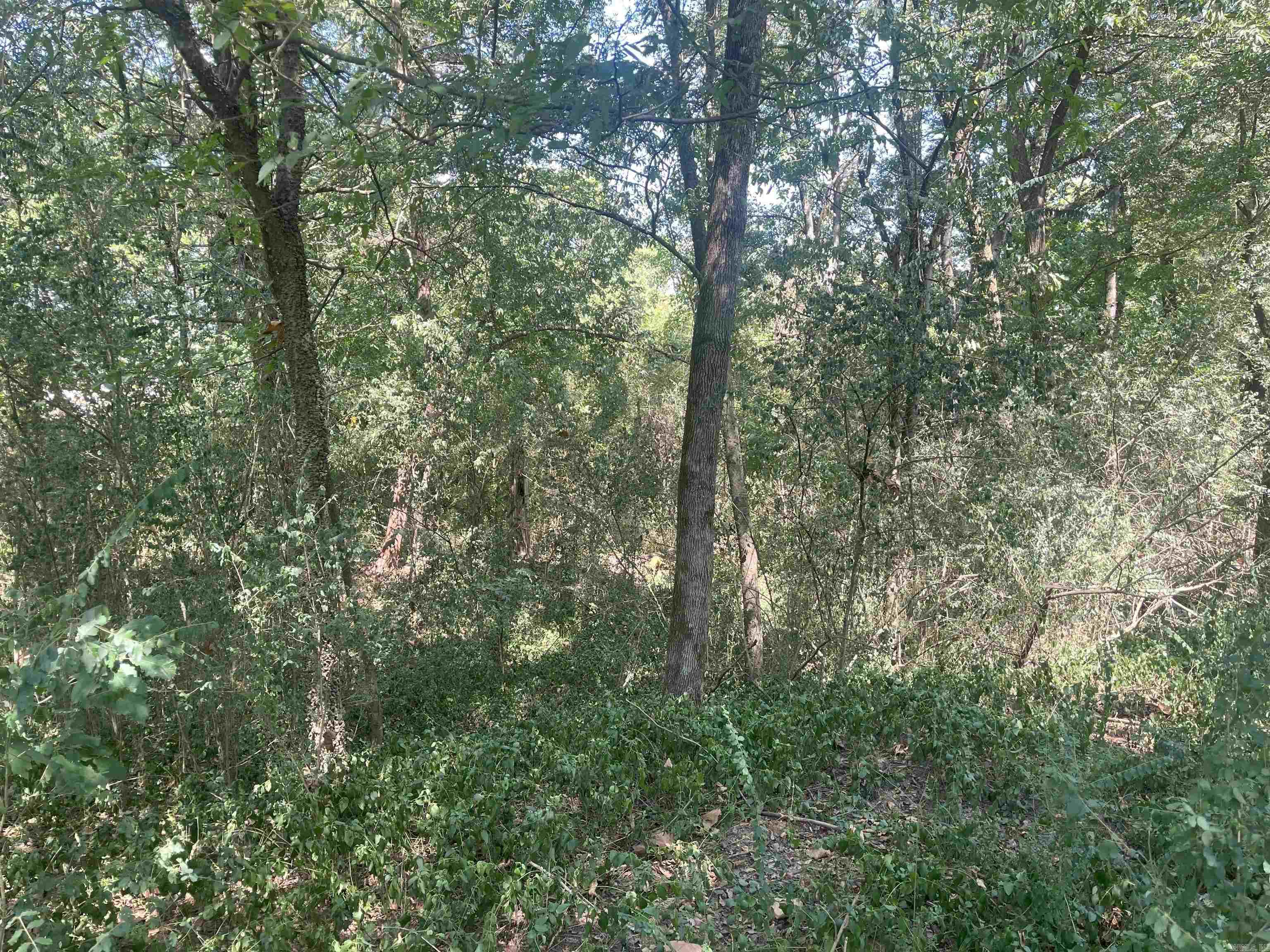 301 S Van Buren St  Plumerville, AR