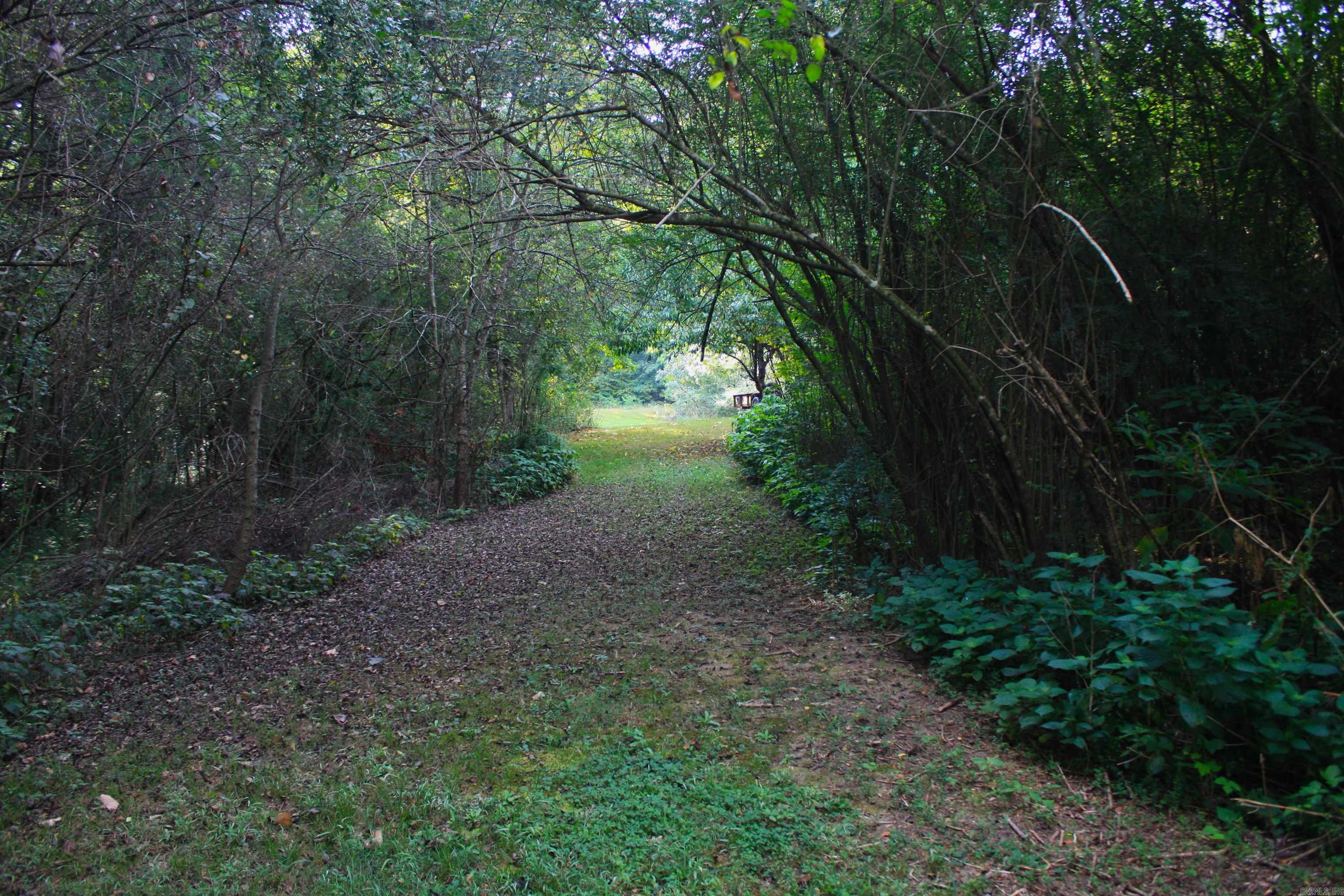 2631 W Glazypeau Rd  Mountain Pine, AR