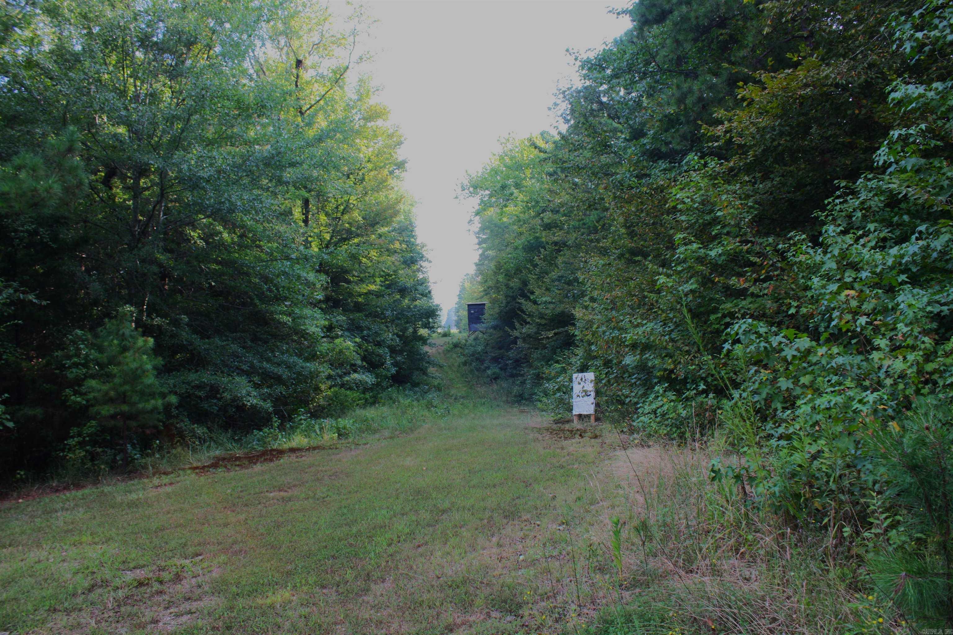 2631 W Glazypeau Rd  Mountain Pine, AR