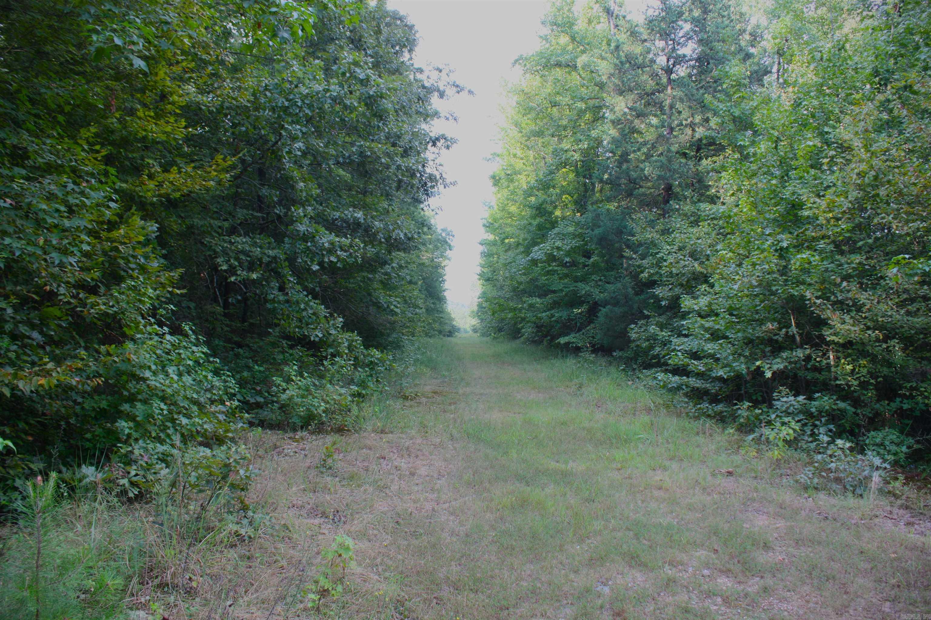 2631 W Glazypeau Rd  Mountain Pine, AR