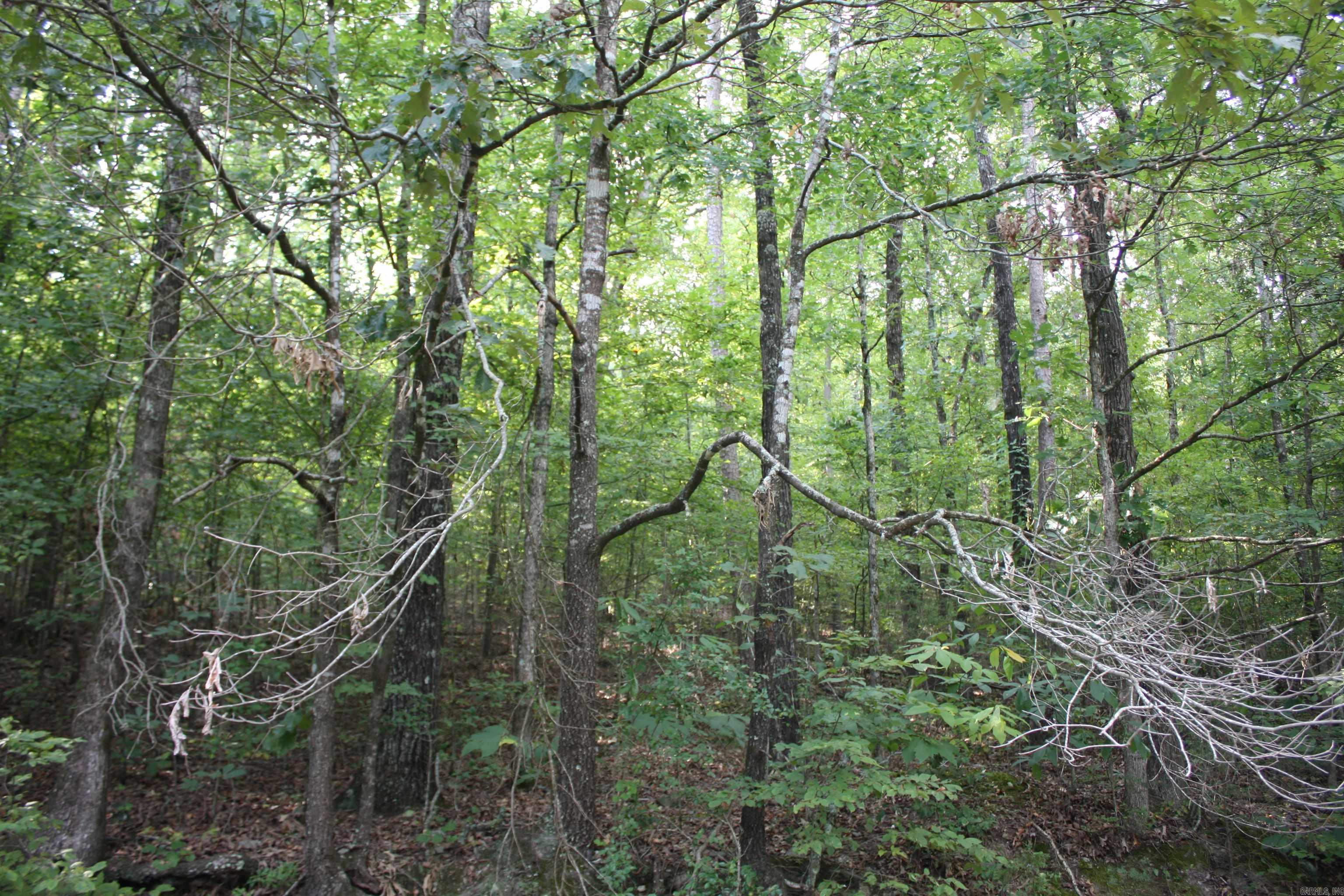 2631 W Glazypeau Rd  Mountain Pine, AR