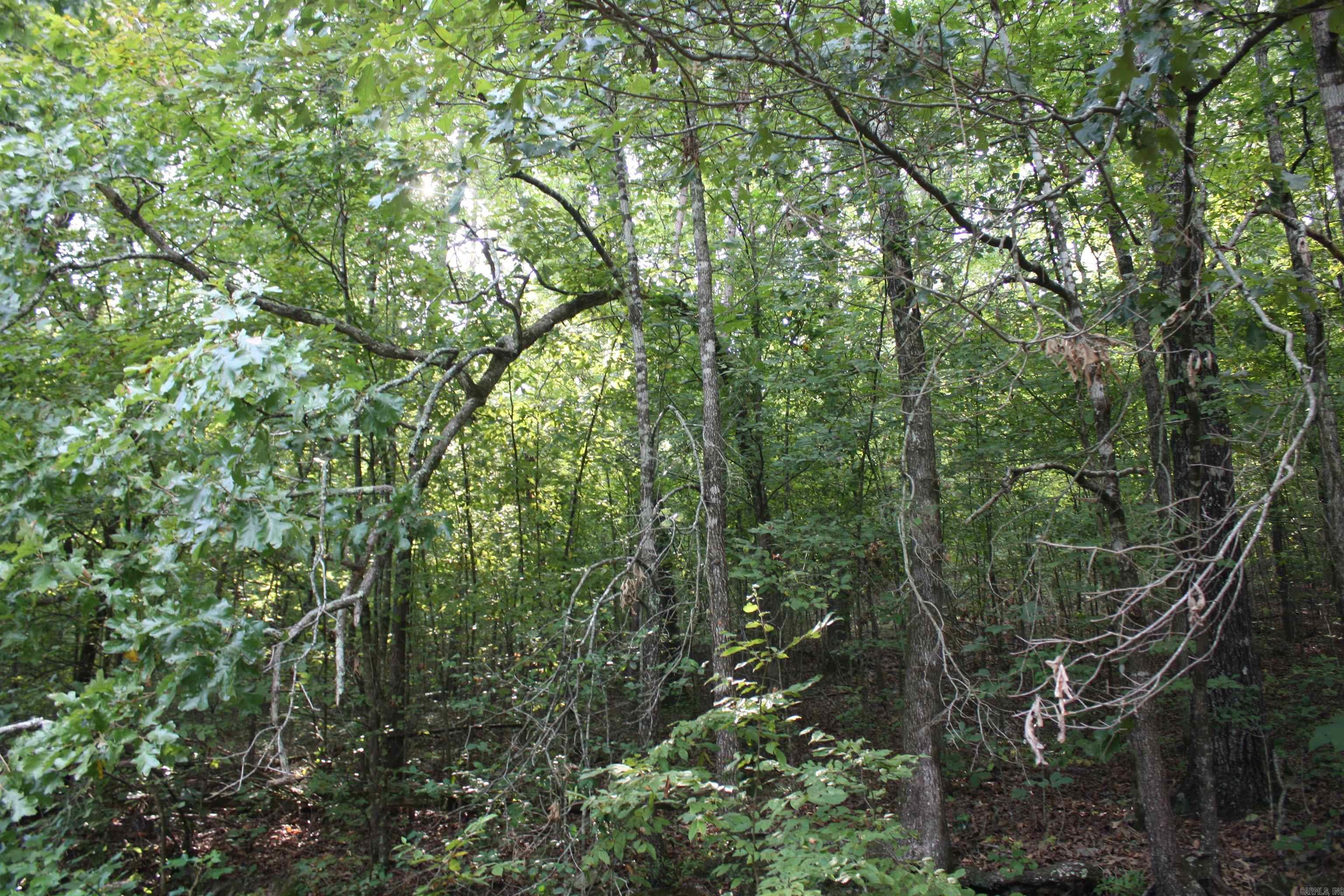 2631 W Glazypeau Rd  Mountain Pine, AR