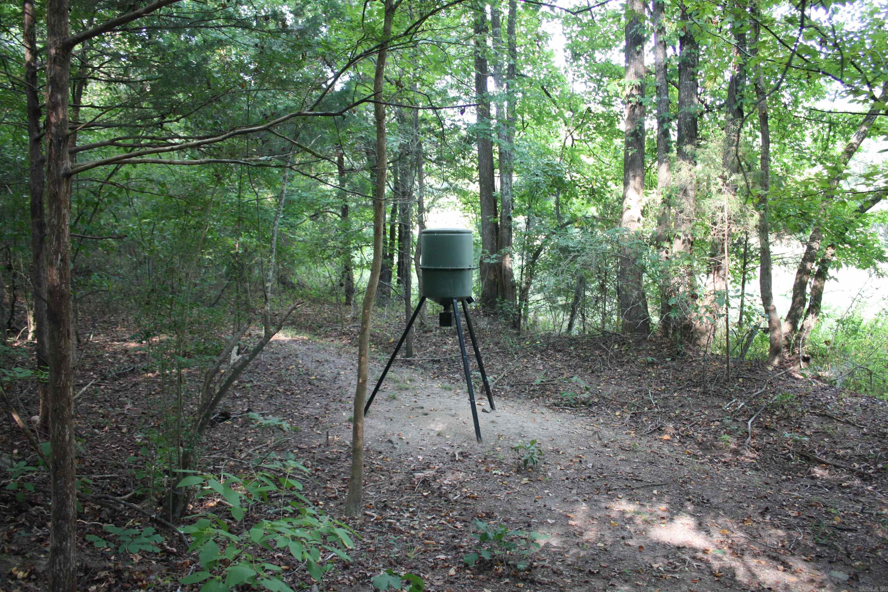 2631 W Glazypeau Rd  Mountain Pine, AR