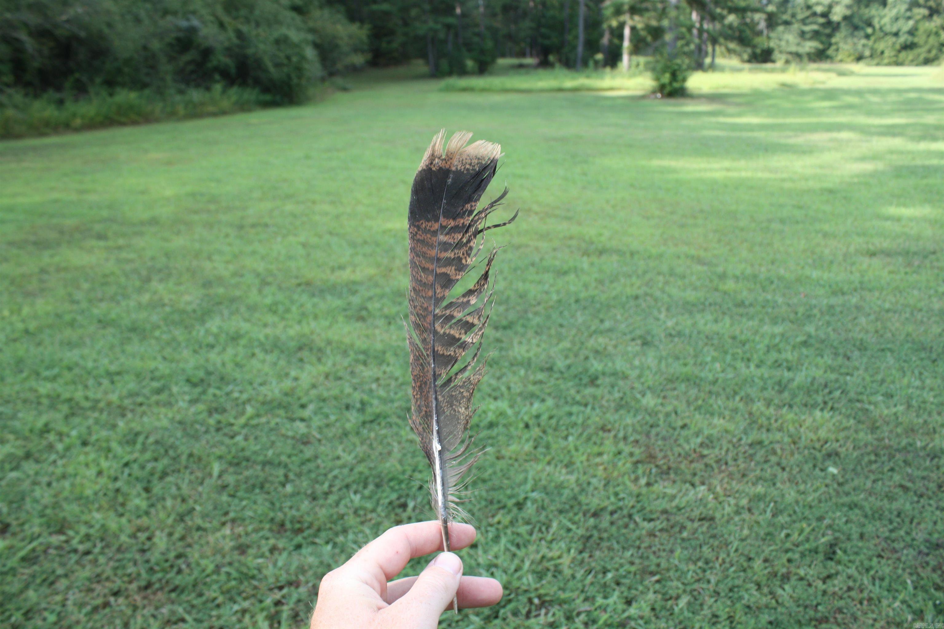 2631 W Glazypeau Rd  Mountain Pine, AR
