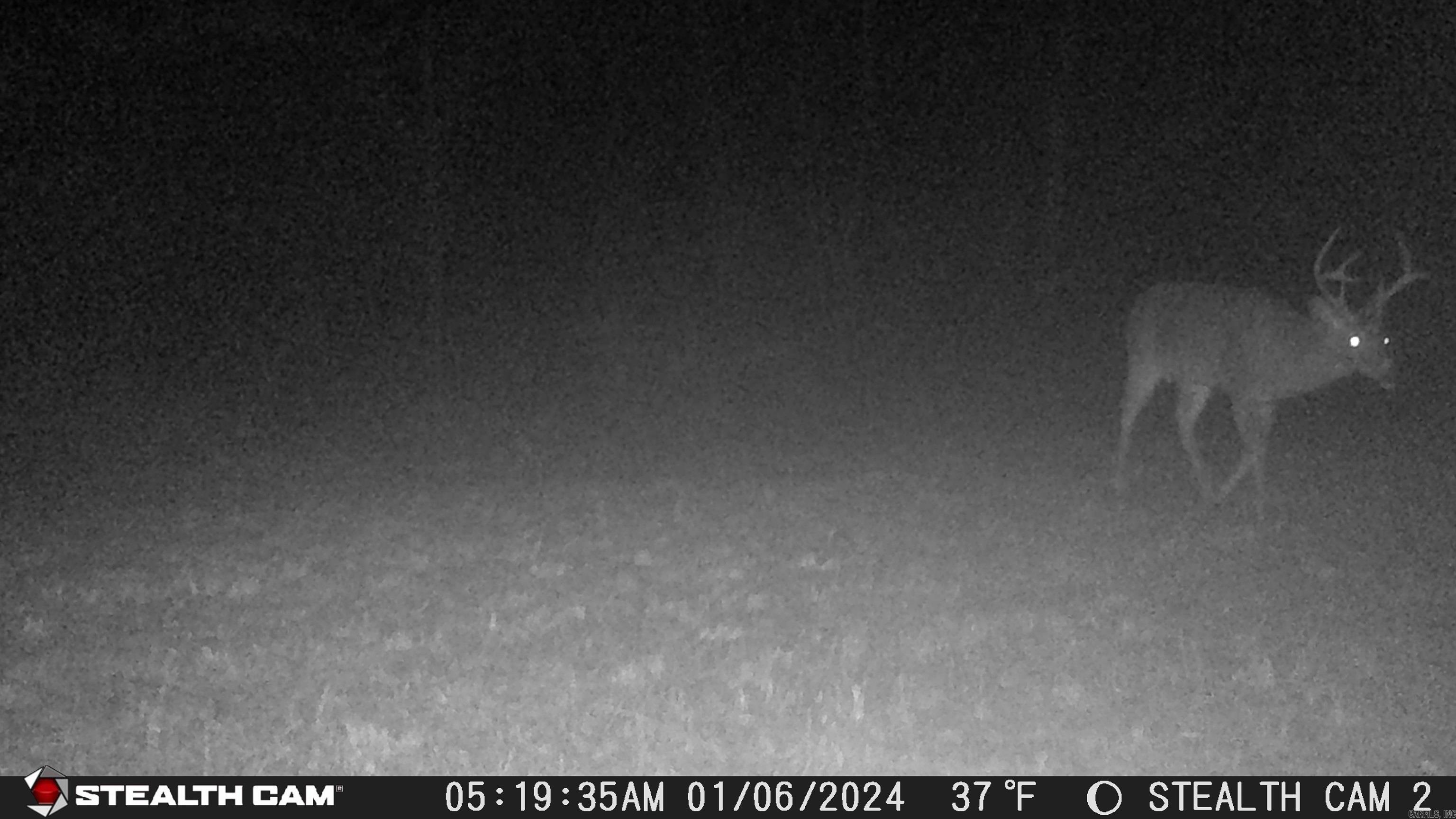 2631 W Glazypeau Rd  Mountain Pine, AR