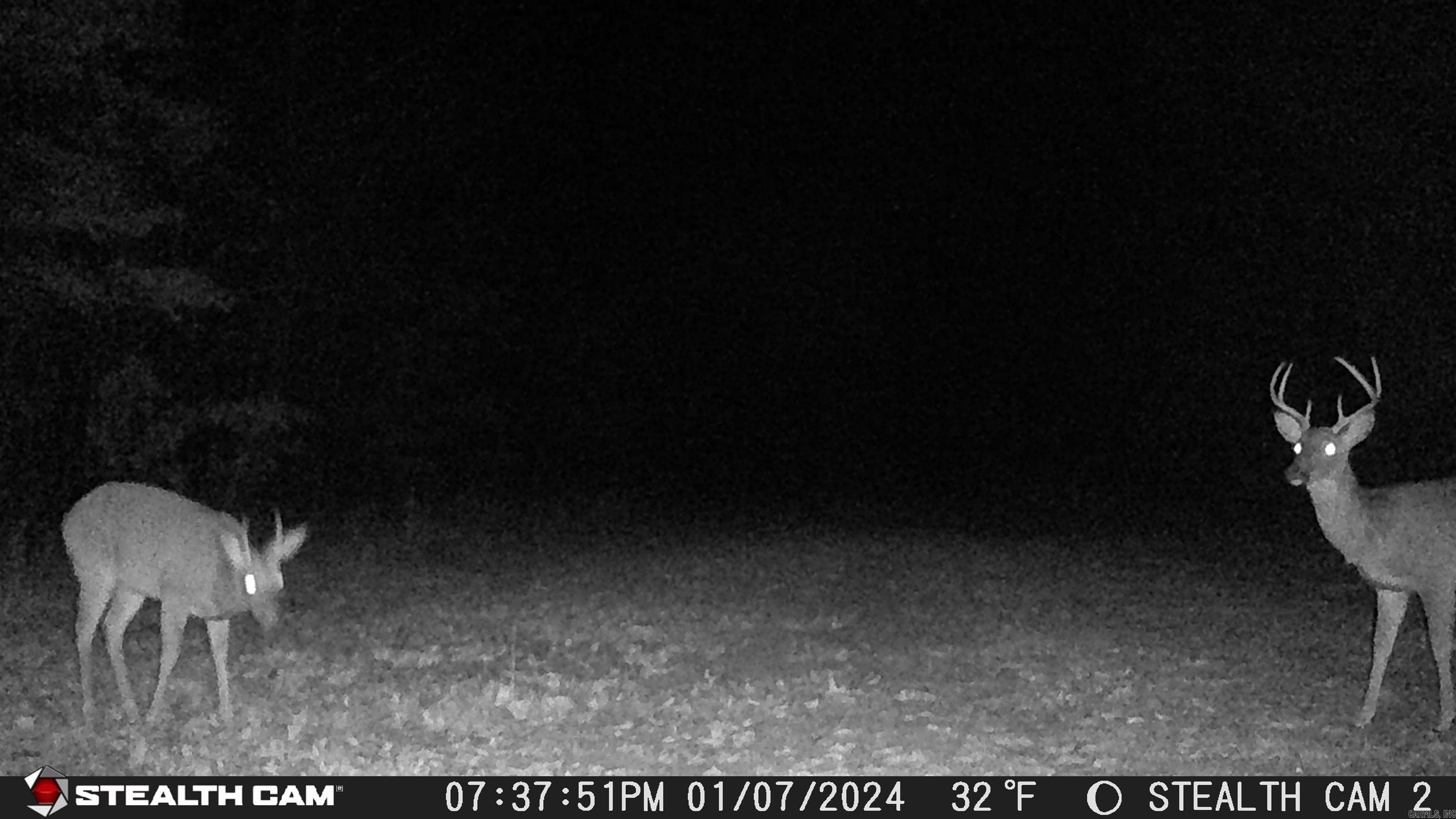 2631 W Glazypeau Rd  Mountain Pine, AR
