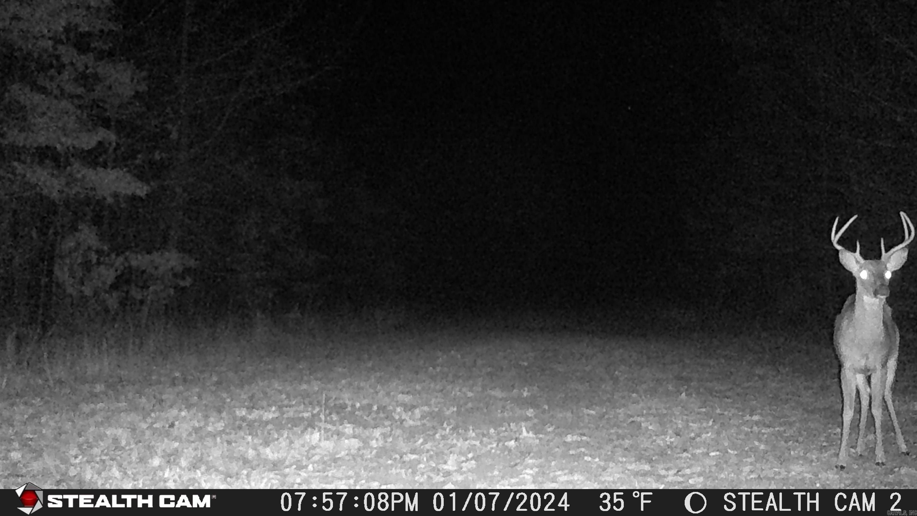 2631 W Glazypeau Rd  Mountain Pine, AR