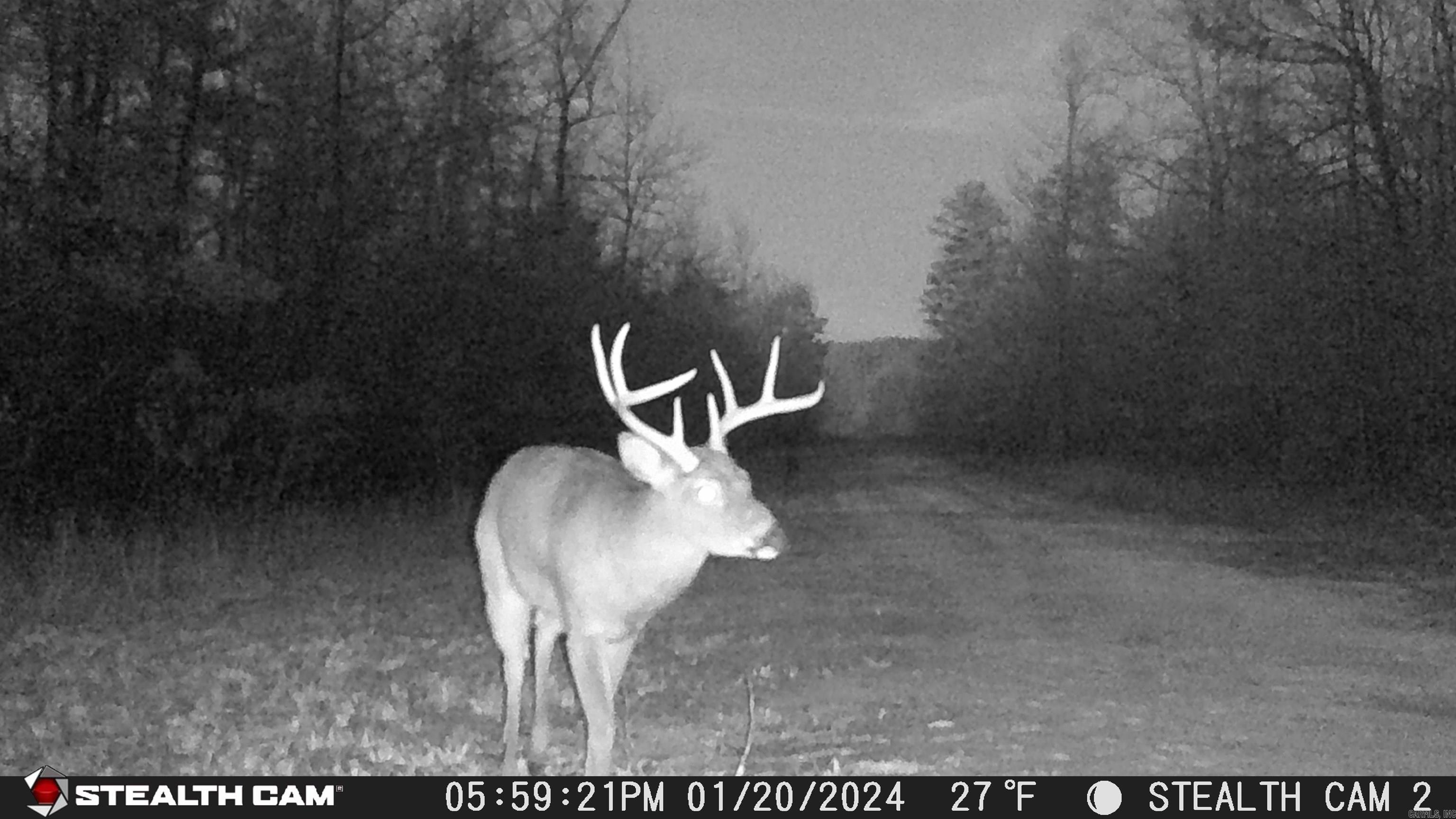 2631 W Glazypeau Rd  Mountain Pine, AR