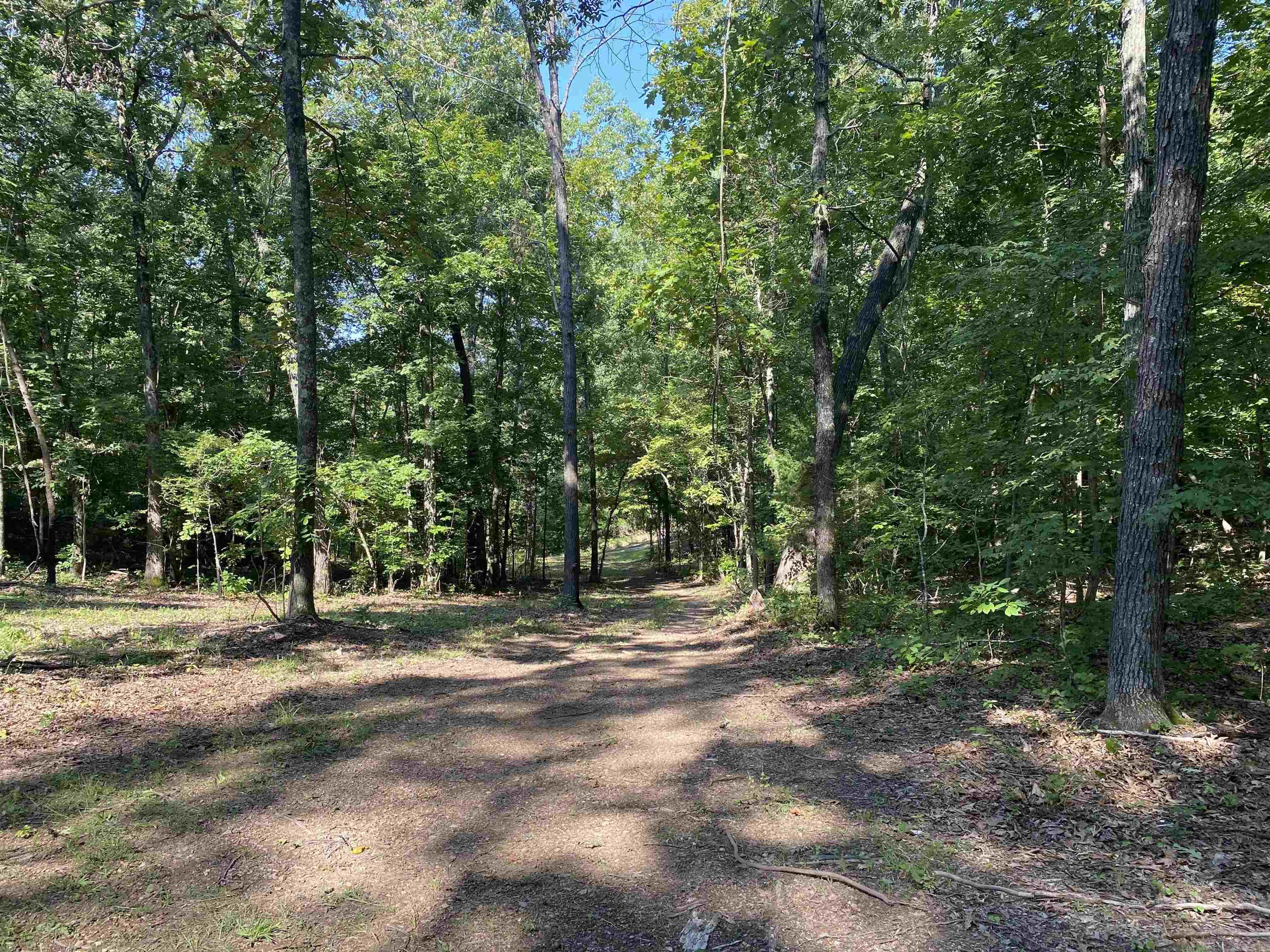 000  Minick Road  Mountain View, AR
