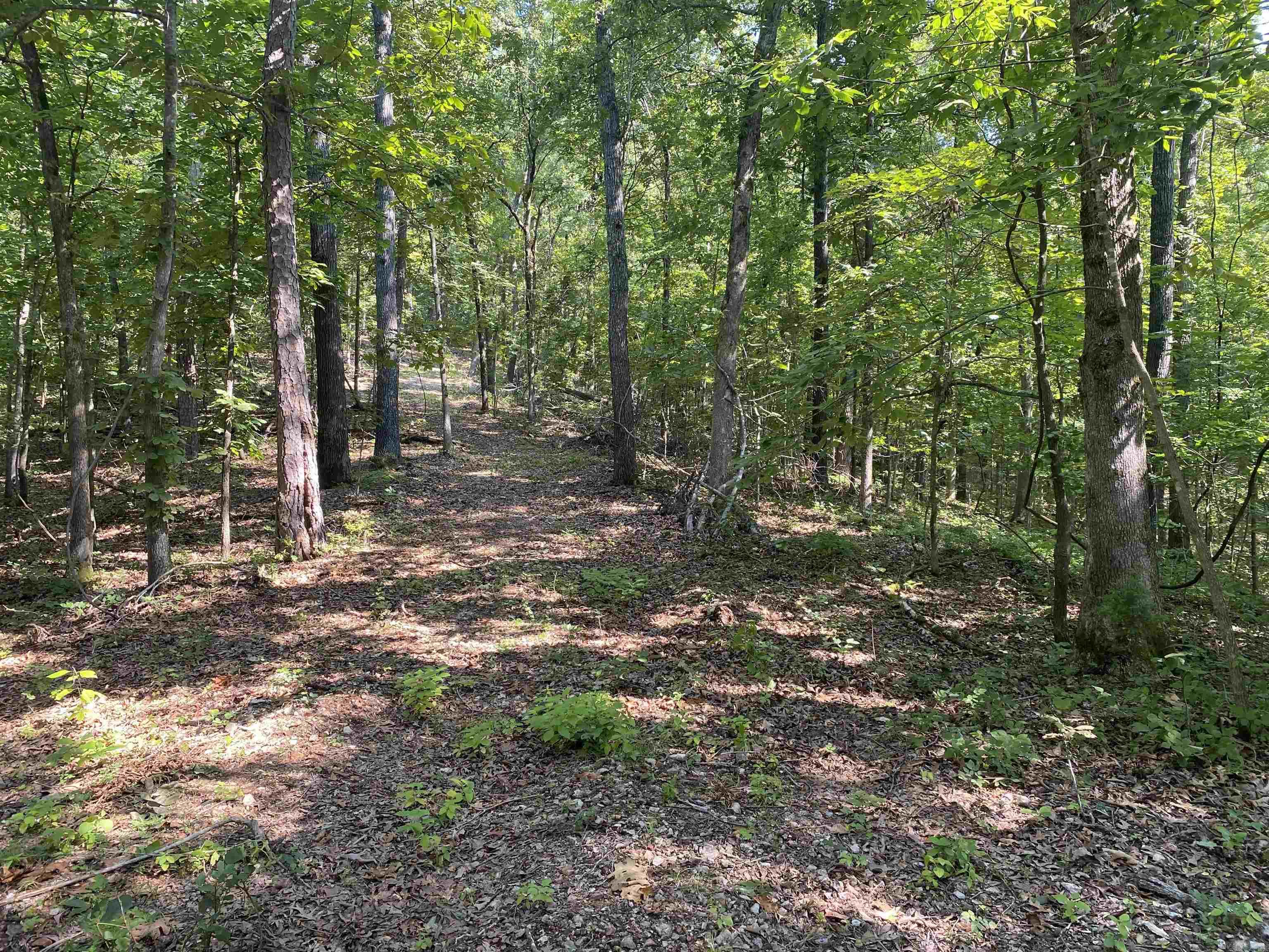 000  Minick Road  Mountain View, AR