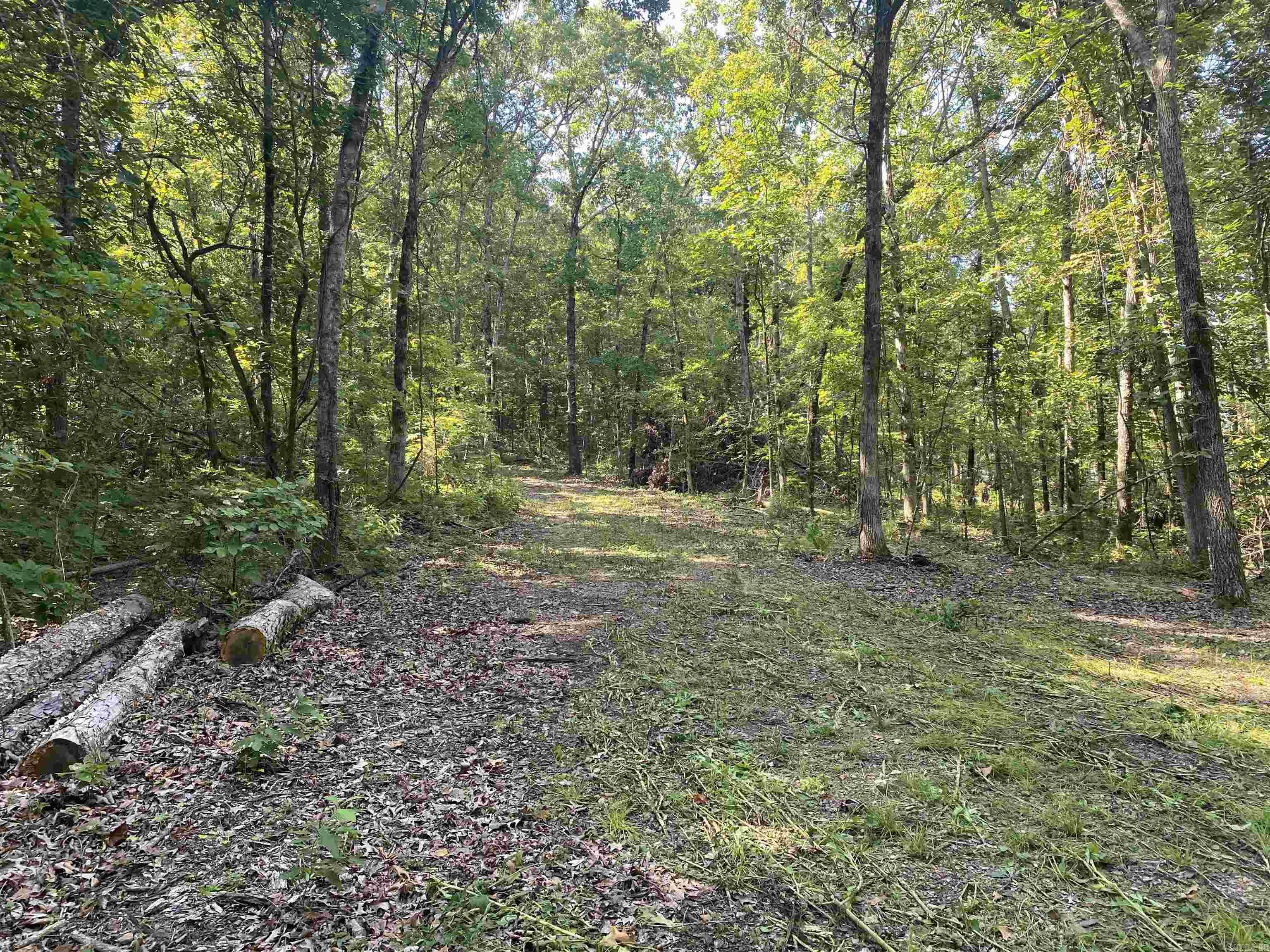 000  Minick Road  Mountain View, AR