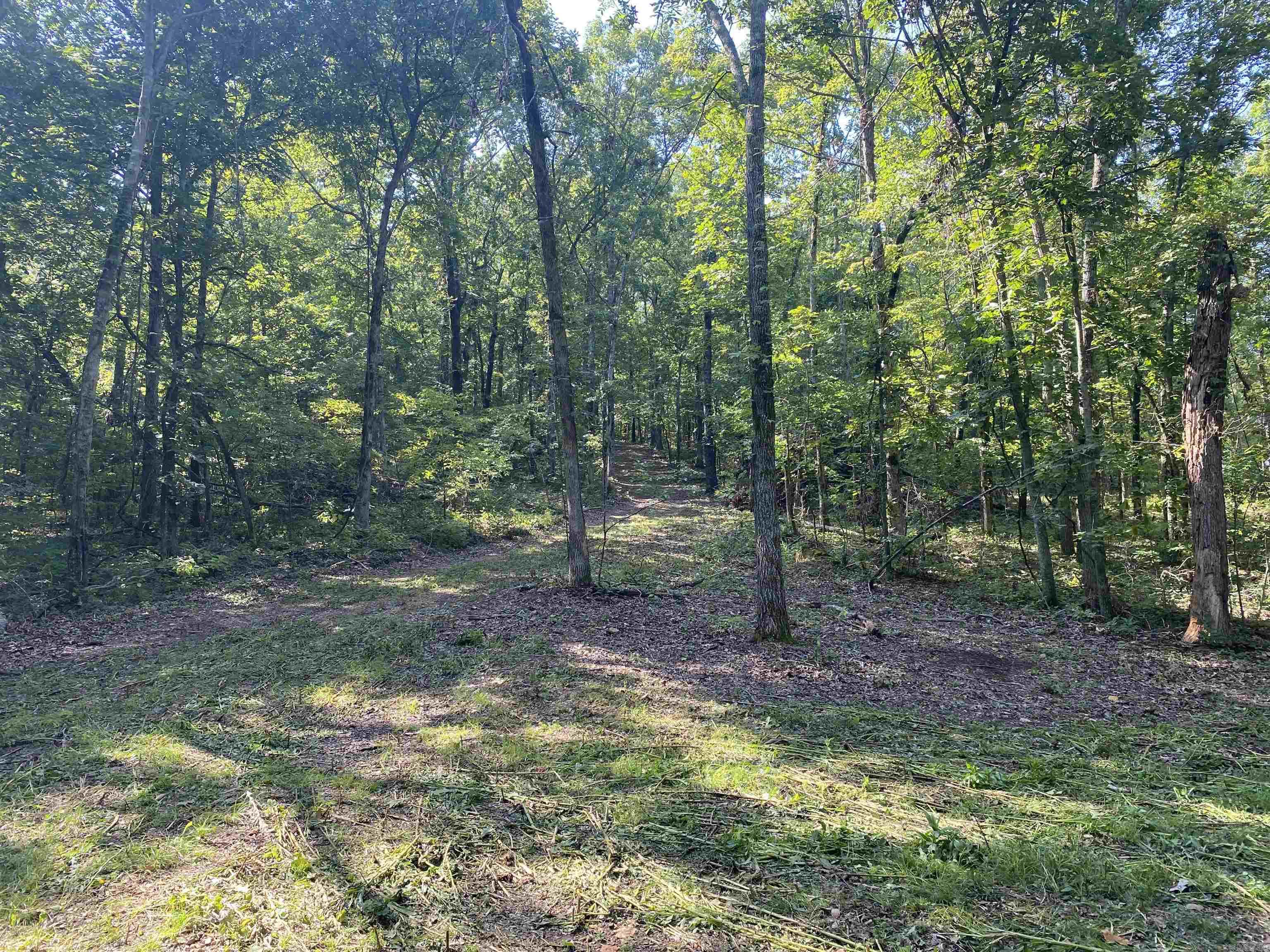 000  Minick Road  Mountain View, AR