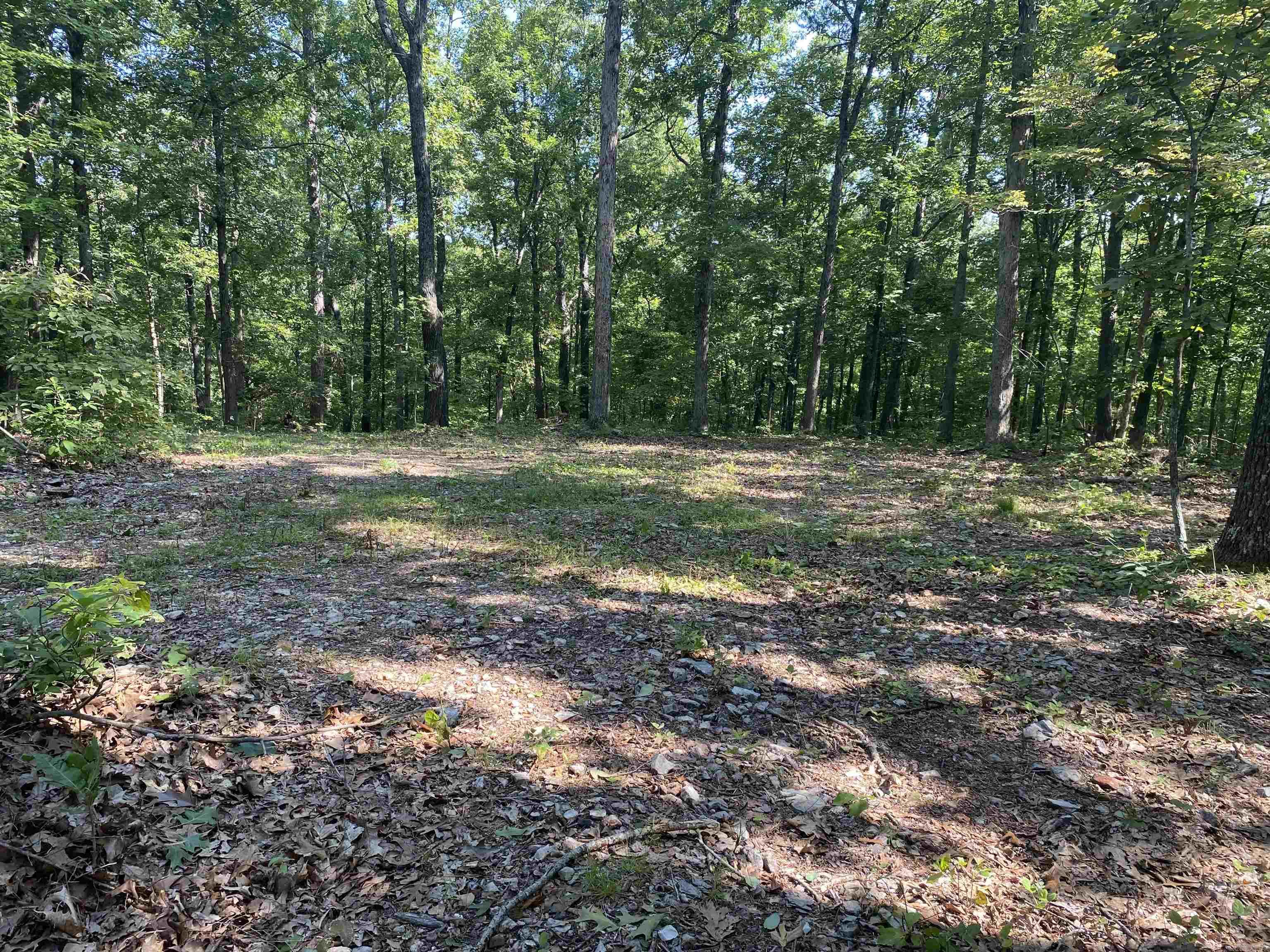 000  Minick Road  Mountain View, AR